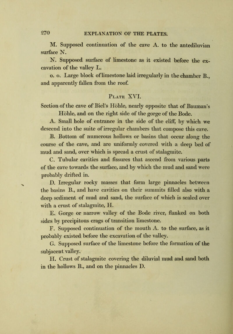 M. Supposed continuation of the cave A. to the antediluvian surface N. 1ST. Supposed surface of limestone as it existed before the ex- cavation of the valley L. o. o. Large block of limestone laid irregularly in the chamber B., and apparently fallen from the roof. Plate XVI. Section of the cave of Biel’s Hohle, nearly opposite that of Bauman’s Hohle, and on the right side of the gorge of the Bode. A. Small hole of entrance in the side of the cliff, by which we descend into the suite of irregular chambers that compose this cave. B. Bottom of numerous hollows or basins that occur along the course of the cave, and are uniformly covered with a deep bed of mud and sand, over which is spread a crust of stalagmite. C. Tubular cavities and fissures that ascend from various parts of the cave towards the surface, and by which the mud and sand were probably drifted in. I). Irregular rocky masses that form large pinnacles between the basins B., and have cavities on their summits filled also with a deep sediment of mud and sand, the surface of which is sealed over with a crust of stalagmite, LI. E. Gorge or narrow valley of the Bode river, flanked on both sides by precipitous crags of transition limestone. F. Supposed continuation of the mouth A. to the surface, as it probably existed before the excavation of the valley. G. Supposed surface of the limestone before the formation of the subjacent valley. LI. Crust of stalagmite covering the diluvial mud and sand both in the hollows B., and on the pinnacles D.