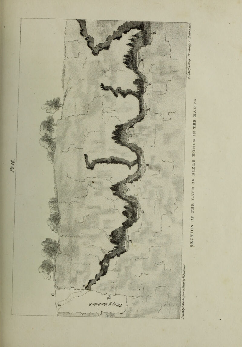 SECTION OF THE CATE OF MEIS HOHLE IN THE HASTZ