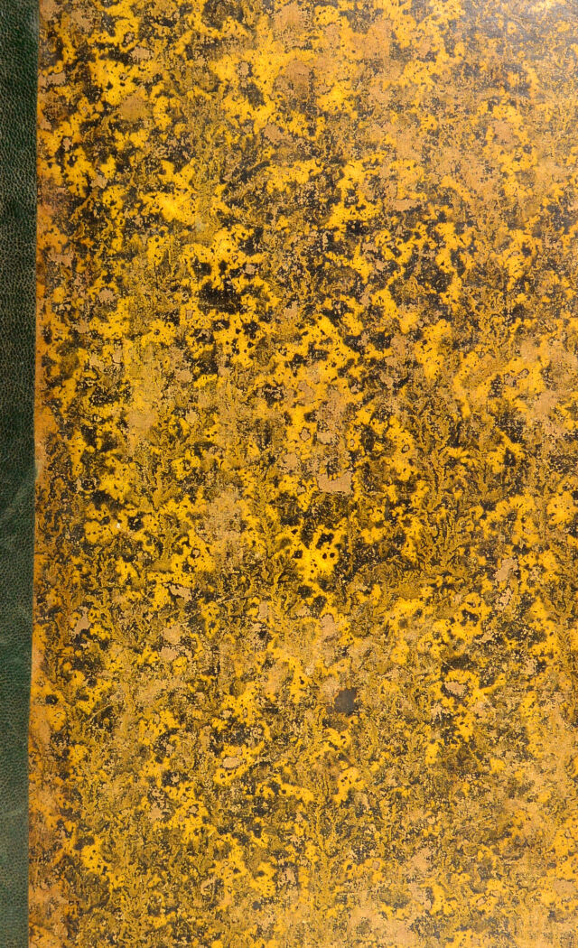 digitised image 2