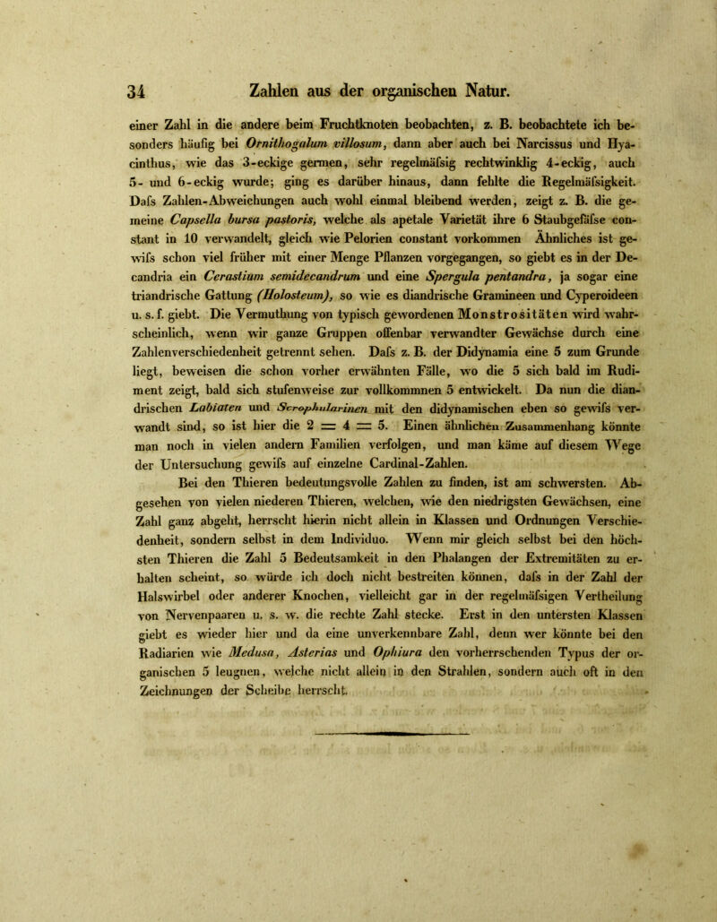 einer Zahl in die andere beim Fruchtknoten beobachten, z. B. beobachtete ich be- sonders häufig bei Ornithogalum villosum, dann aber auch bei Narcissus und Hya- cinthus, wie das 3-eckige germen, sehr regelmäfsig rechtwinklig 4-eckig, auch 5- und 6-eckig wurde; ging es darüber hinaus, dann fehlte die Regelmäfsigkeit. Dafs Zahlen-Abweichungen auch wohl einmal bleibend werden, zeigt z. B. die ge- meine Capsella bursa pastoris, welche als apetale Varietät ihre 6 Staubgefäfse con- stant in 10 verwandelt, gleich wie Pelorien constant Vorkommen Ähnliches ist ge- wifs schon viel früher mit einer Menge Pflanzen vorgegangen, so giebt es in der De- candria ein Cerastiwn semidecandrum und eine Spergula pentandra, ja sogar eine triandrische Gattung (Holosteum), so wie es diandrische Gramineen und Cyperoideen u. s. f. giebt. Die Vermuthung von typisch gewordenen Monstrositäten wird wahr- scheinlich, wenn wir ganze Gruppen offenbar verwandter Gewächse durch eine Zahlenverschiedenheit getrennt sehen. Dafs z. B. der Didynamia eine 5 zum Grunde liegt, beweisen die schon vorher erwähnten Fälle, wo die 5 sich bald im Rudi- ment zeigt, bald sich stufenweise zur vollkommnen 5 entwickelt. Da nun die dian- drischen Labiaten und Scrophularinen mit den didynamischen eben so gewifs ver- wandt sind, so ist hier die 2 z: 4 z: 5. Einen ähnlichen Zusammenhang könnte man noch in vielen andern Familien verfolgen, und man käme auf diesem Wege der Untersuchung gewifs auf einzelne Cardinal-Zahlen. Bei den Thieren bedeutungsvolle Zahlen zu finden, ist am schwersten. Ab- gesehen von vielen niederen Thieren, welchen, wie den niedrigsten Gewächsen, eine Zahl ganz abgeht, herrscht hierin nicht allein in Klassen und Ordnungen Verschie- denheit, sondern selbst in dem lndividuo. Wenn mir gleich selbst bei den höch- sten Thieren die Zahl 5 Bedeutsamkeit in den Phalangen der Extremitäten zu er- halten scheint, so würde ich doch nicht bestreiten können, dafs in der Zahl der Halswirbel oder anderer Knochen, vielleicht gar in der regelmäfsigen Vertheilung von Nervenpaaren u, s. w. die rechte Zahl stecke. Erst in den untersten Klassen giebt es wieder hier und da eine unverkennbare Zahl, denn wer könnte bei den Radiarien wie Medusa, Asterias und Ophiura den vorherrschenden Typus der or- ganischen 5 leugnen, weiche nicht allein in den Strahlen, sondern auch oft in den Zeichnungen der Scheibe herrscht