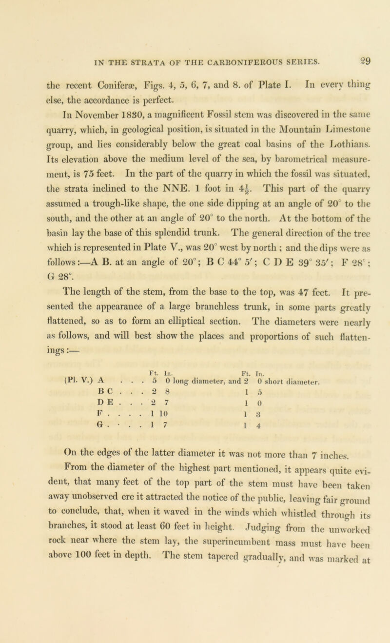 the recent Coihferae, Figs. 5, 6, 7, and 8. of Plate I. In every tiling else, the accordance is perfect. Ill November 18S0, a magnificent Fossil stem was discovered in the same (quarry, which, in geological position, is situated in the Mountain Limestone group, and lies considerably below the great coal basins of the Lothians. Its elevation above the medium level of the sea, by barometrical measure- ment, is 75 feet. In the part of the quarry in wdiich the fossil was situated, the strata inclined to the NNE. 1 foot in 4^. This part of the quarry assumed a trough-like shape, the one side dipping at an angle of 20° to the south, and the other at an angle of 20° to the north. At the bottom of the basin lay the base of this splendid trunk. The general direction of the tree which is represented in Plate V., was 20° west by north ; and the dips were as follows :—A B. at an angle of 20°; B C 44° 5'; C D E 39° 35'; F 28°; G 28“. The length of the stem, from the base to the top, was 47 feet. It pre- sented the appearance of a large branchless trunk, in some parts greatly rtattened, so as to form an elliptical section. The diameters were nearly as follows, and will best show the places and proportions of such flatten- ings :— Ft. In. Ft. In. (PI. V.) A ... 5 0 long diameter, and 2 0 short diameter. B C . . . 2 8 15 D E . . . 2 7 10 F .... 1 10 13 G . • . . 1 7 14 On the edges of the latter diameter it was not more than 7 inches. From the diameter of the highest part mentioned, it appears quite evi- dent, that many feet of the top part of the stem must have been taken away unobserved ere it attracted the notice of the public, leaving fair ground to conclude, that, when it waved in the winds which whistled through its branches, it stood at least 60 feet in lieight. Judging from the unworked rock near where the stem lay, the superincumbent mass must have been above 100 feet in depth. The stem tapered gradually, and was marked at