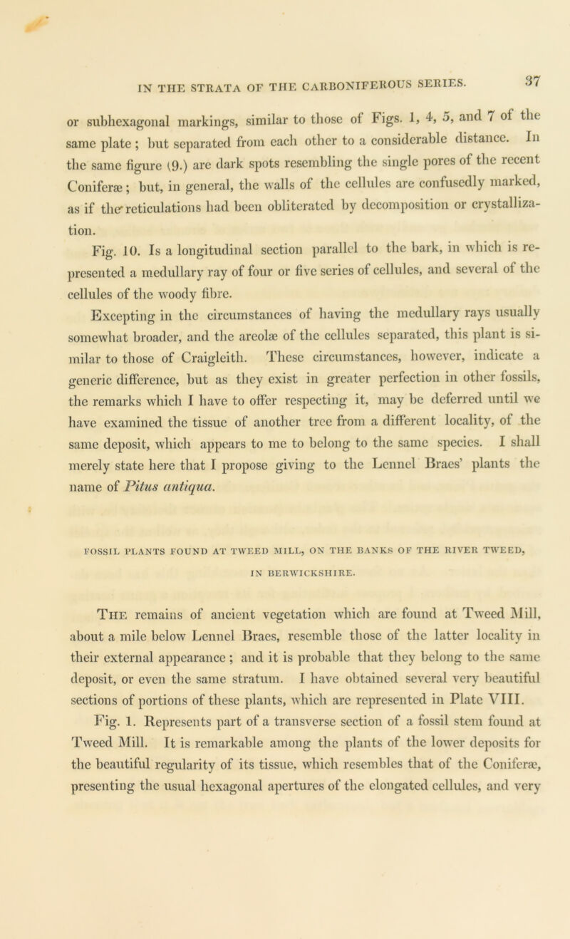 or subhexagonal markings, similar to those of Figs. 1, 4, 5, and 7 of the same plate ; hut separated from each other to a considerable distance. In the same figure {9.) are dark spots resembling the single pores of the recent Coniferaj; but, in general, the walls of the cellules are confusedly marked, as if tlurreticulations had been obliterated by decomposition or crystalliza- tion. Fig. 10. Is a longitudinal section parallel to the bark, in which is re- presented a medullary ray of four or five series of cellules, and several of the cellules of the w'oody fibre. Excepting in the circumstances of having the medullary rays usually somewhat broader, and the areolas of the cellules separated, this plant is si- milar to those of Craigleith. These circumstances, however, indicate a generic difference, but as they exist in greater perfection in other fossils, the remarks which I have to offer respecting it, may be deferred until we have examined the tissue of another tree from a different locality, of the same deposit, which appears to me to belong to the same species. I shall merely state here that I propose giving to the Lennel Braes’ plants the name of Pitus antlqua. FOSSIL PLANTS FOUND AT TWEED MILL, ON THE BANKS OF THE RIVER TWEED, IN BERWICKSHIRE. The remains of ancient vegetation which are found at Tw^eed Mill, about a mile below Lennel Braes, resemble those of the latter locality in their external appearance ; and it is probable that they belong to the same deposit, or even the same stratum. I have obtained several very beautiful sections of portions of these plants, which are represented in Plate VIII. Fig. 1. Represents part of a transverse section of a fossil stem found at Tweed Mill. It is remarkable among the plants of the lower deposits for the beautiful regularity of its tissue, which resembles that of the Coniferse, presenting the usual hexagonal apertures of the elongated cellules, and very