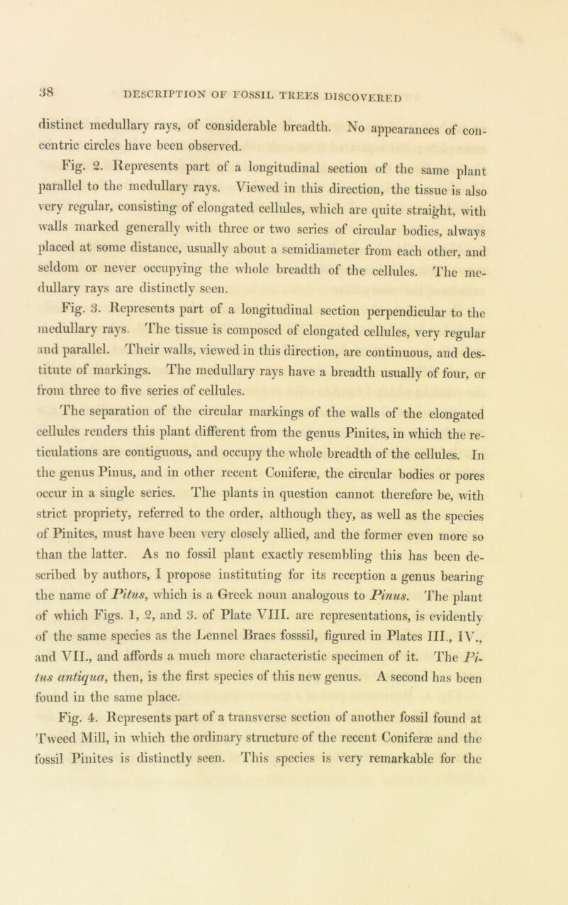 distinct medullary rays, of considerable breadth. No appearances of con- centric circles have been observed. Fig. 2. Represents part of a longitudinal section of the same plant parallel to the medullary rays. Viewed in this direction, the tissue is also very regular, consisting of elongated cellules, which are quite straight, with walls maiked generally with three or two series of circular bodies, always placed at some distance, usually about a semidiameter from each other, and seldom or never occupying the whole breadth of the cellules. The me- dullary rays are distinctly seen. Fig. 3. Represents part of a longitudinal section perpendicular to the medullary rays. 'Fhe tissue is composed of elongated cellules, very regular and parallel. Their walls, viewed in this direction, are continuous, and des- titute of markings. The medullary rays have a breadth usually of four, or from three to five series of cellules. The separation of the circular markings of the walls of the elongated cellules renders this plant different from the genus Pinites, in which the re- ticulations are contiguous, and occupy the whole breadth of the cellules. In the genus Pinus, and in other recent Coniferae, the circular bodies or pores occur in a single series. The plants in question cannot therefore be, with strict propriety, referred to the order, although they, as well as the species of Pinites, must have been very closely allied, and the former even more so than the latter. As no fossil plant exactly resembling this has been de- scribed by authors, I propose instituting for its reception a genus bearing the name of Pitiis, which is a Greek noun analogous to Pinus. The plant of which Figs. 1, 2, and 3. of Plate VIII. are representations, is evidently of the same species as the Lennel Braes fosssil, figured in Plates III., IV., and VII., and affords a much more characteristic specimen of it. The Pi~ tus antiqua, then, is the first species of this new genus. A second has been found in tbe same place. Fig. 4. Represents part of a transverse section of another fossil found at Tweed Mill, in which the ordinary structure of the recent Coniferae and the fossil Pinites is distinctly seen. This species is very remarkable for the