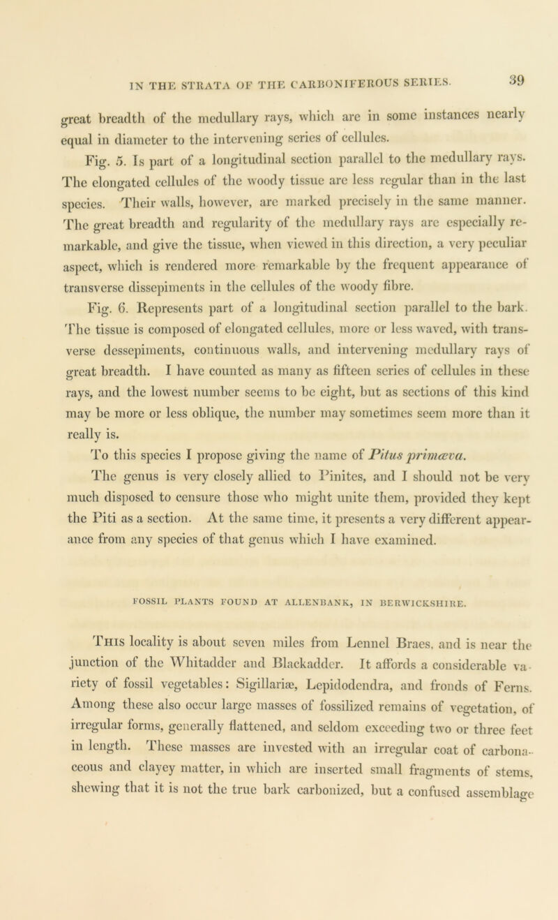 great breadth of the medullary rays, which are in some instances nearly equal in diameter to the intervening series ot cellules. Fig. 5. Is part of a longitudinal section parallel to the medullary rays. The elongated cellules of the woody tissue are less regular than in the last species. Their walls, however, are marked precisely in the same manner. The great breadth and regularity of the medullary rays arc especially re- markable, and give the tissue, when viewed in this direction, a very peculiar aspect, which is rendered more remarkable by the frequent appearance of transverse dissepiments in the cellules of the woody fibre. Fig. 6. Represents part of a longitudinal section parallel to the hark. The tissue is composed of elongated cellules, more or less waved, with trans- verse dessepiments, continuous walls, and intervening medullary rays of great breadth. I have counted as many as fifteen scries of cellules in these rays, and the lowest number seems to he eight, hut as sections of this kind may he more or less oblique, the number may sometimes seem more than it really is. To this species I propose giving the name of Pitus primeeva. The genus is very closely allied to Pinites, and I should not be very much disposed to censure those who might unite them, provided they kept the Piti as a section. At the same time, it presents a very different appear- ance from any species of that genus which I have examined. FOSSIL PLANTS FOUND AT ALLENBANK, IN BERWICKSHIRE. This locality is about seven miles from Lennel Braes, and is near the junction of the Whitadder and Blackaddcr. It affords a considerable va- riety of fossil vegetables: Sigillarise, Lepidodendra, and fronds of Ferns. Among these also occur large masses of fossilized remains of vegetation of irregular forms, generally flattened, and seldom exceeding two or three feet in length. These masses are invested with an irregular coat of carbona- ceous and clayey matter, in which are inserted small fragments of stems, shewing that it is not the true hark carbonized, hut a confused assemblage