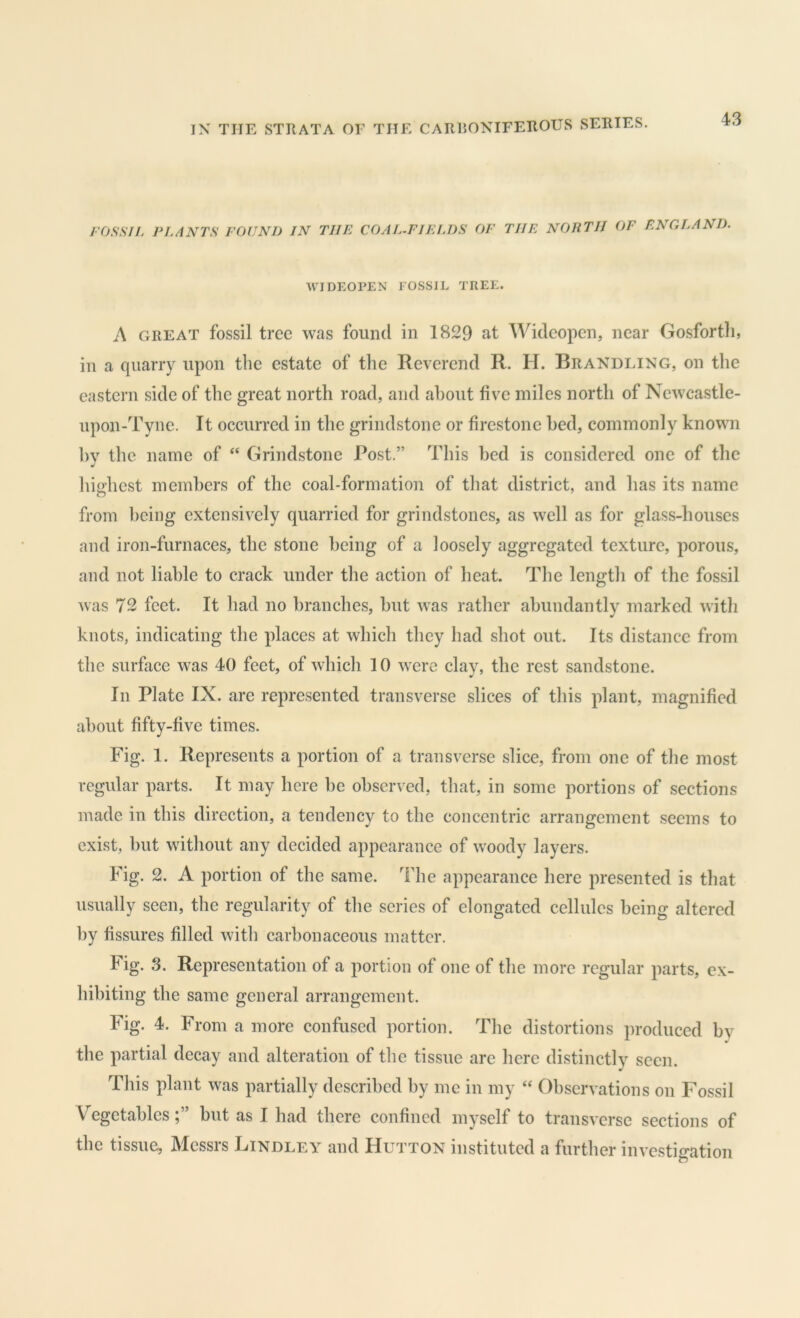 FOSSIL PLANTS FOUND IN THE COAL-FIELDS OF THE NORTH OF ENGLAND. WIDEOrEN FOSSIL TREE. A GREAT fossil tree was found in 1829 at Wideopen, near Gosfortli, in a quarry upon the estate of tlie Reverend R. H. Brandling, on the eastern side of the great north road, and about five miles north of Newcastle- upon-Tyne. It occurred in the grindstone or firestone bed, commonly known hv the name of ‘‘ Grindstone Post.” This bed is considered one of the •/ highest members of the coal-formation of that district, and has its name from being extensively quarried for grindstones, as well as for glass-houses and iron-furnaces, the stone being of a loosely aggregated texture, porous, and not liable to crack under the action of heat. The length of the fossil was 72 feet. It had no branches, hut was rather abundantly marked with knots, indicating the places at which they had shot out. Its distance from the surface was 40 feet, of which 10 were clay, the rest sandstone. In Plate IX. are represented transverse slices of this plant, magnified about fifty-five times. Fig. 1. Represents a portion of a transverse slice, from one of the most regular parts. It may here he observed, that, in some portions of sections made in this direction, a tendency to the concentric arrangement seems to exist, hut without any decided appearance of woody layers. Fig. 2. A portion of the same. The appearance here presented is that usually seen, the regularity of the series of elongated cellules being altered by fissures filled with carbonaceous matter. Fig. 3. Representation of a portion of one of the more regular parts, ex- hibiting the same general arrangement. Fig. 4. From a more eonfused portion. The distortions iiroduced bv the partial decay and alteration of the tissue are here distinctly seen. This plant was partially described by me in my Observations on Fossil Vegetableshut as I had there confined myself to transverse sections of the tissue, Messrs Bindley and Hutton instituted a further investigation