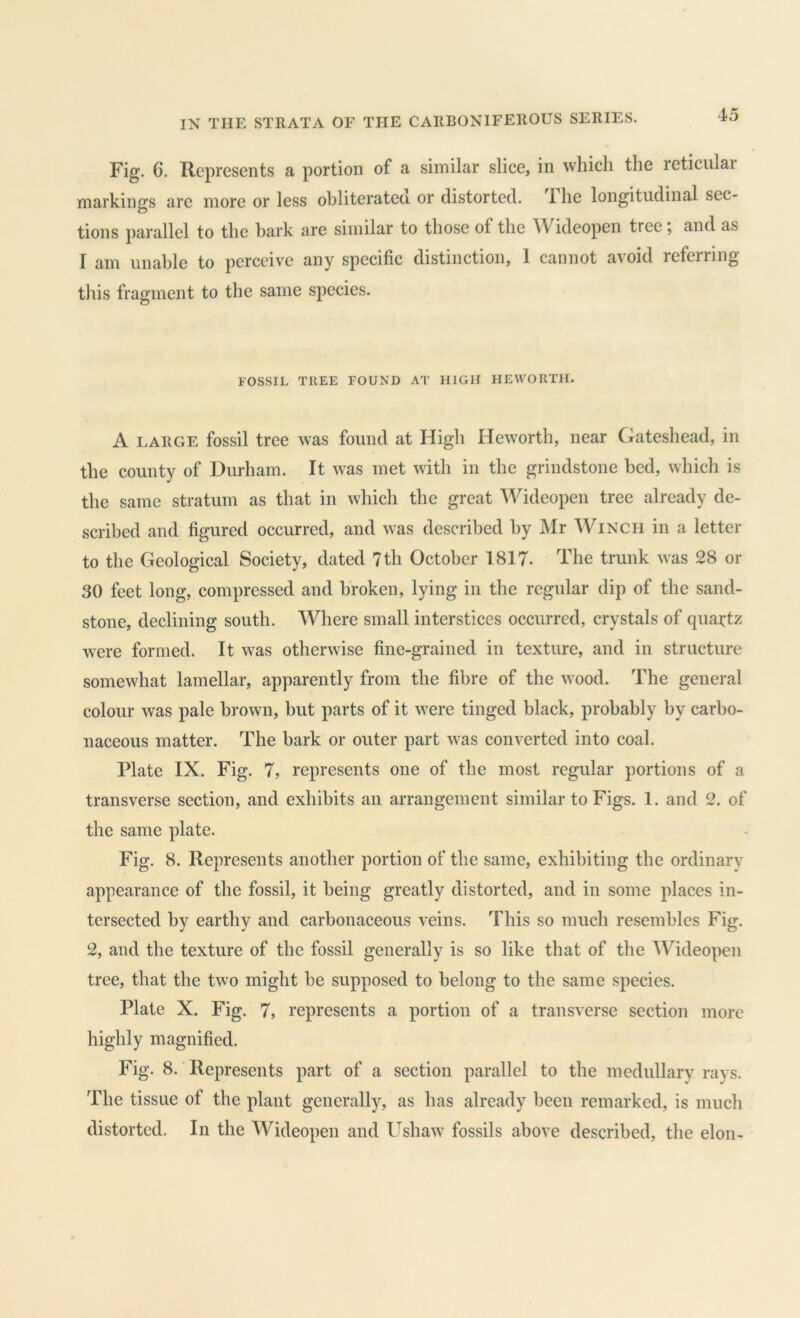 Fig. 6. Represents a portion of a similar slice, in which the reticuiai markings are more or less obliterateu or distorted. The longitudinal sec- tions parallel to the bark are similar to those of the AVideopen treeand as I am unable to perceive any specific distinction, 1 cannot avoid referring this fragment to the same species. FOSSIL TREE FOUND AT HIGH HEWORTII. A LARGE fossil tree was found at High Heworth, near Gateshead, in the county of Durham. It was met with in the grindstone bed, which is the same stratum as that in which the great Wideopen tree already de- scribed and figured occurred, and was described by Mr Winch in a letter to the Geological Society, dated 7th October 1817. The trunk was 28 or 30 feet long, compressed and broken, lying in the regular dip of the sand- stone, declining south. Where small interstices occurred, crystals of (piai:tz were formed. It was otherwise fine-grained in texture, and in structure somewhat lamellar, apparently from the fibre of the wood. The general colour was pale brown, hut parts of it were tinged black, probably by carbo- naceous matter. The bark or outer part was converted into coal. Plate IX. Fig. 7, represents one of the most regular portions of a transverse section, and exhibits an arrangement similar to Figs. 1. and 2. of the same plate. Fig. 8. Represents another portion of the same, exhibiting the ordinary appearance of the fossil, it being greatly distorted, and in some places in- tersected by earthy and carbonaceous veins. This so much resembles Fig. 2, and the texture of the fossil generally is so like that of the Wideopen tree, that the two might he supposed to belong to the same species. Plate X. Fig. 7, represents a portion of a transverse section more highly magnified. Fig. 8. Represents part of a section parallel to the medullary rays. The tissue of the plant generally, as has already been remarked, is much distorted. In the Wideopen and Ushaw fossils above described, the elon-