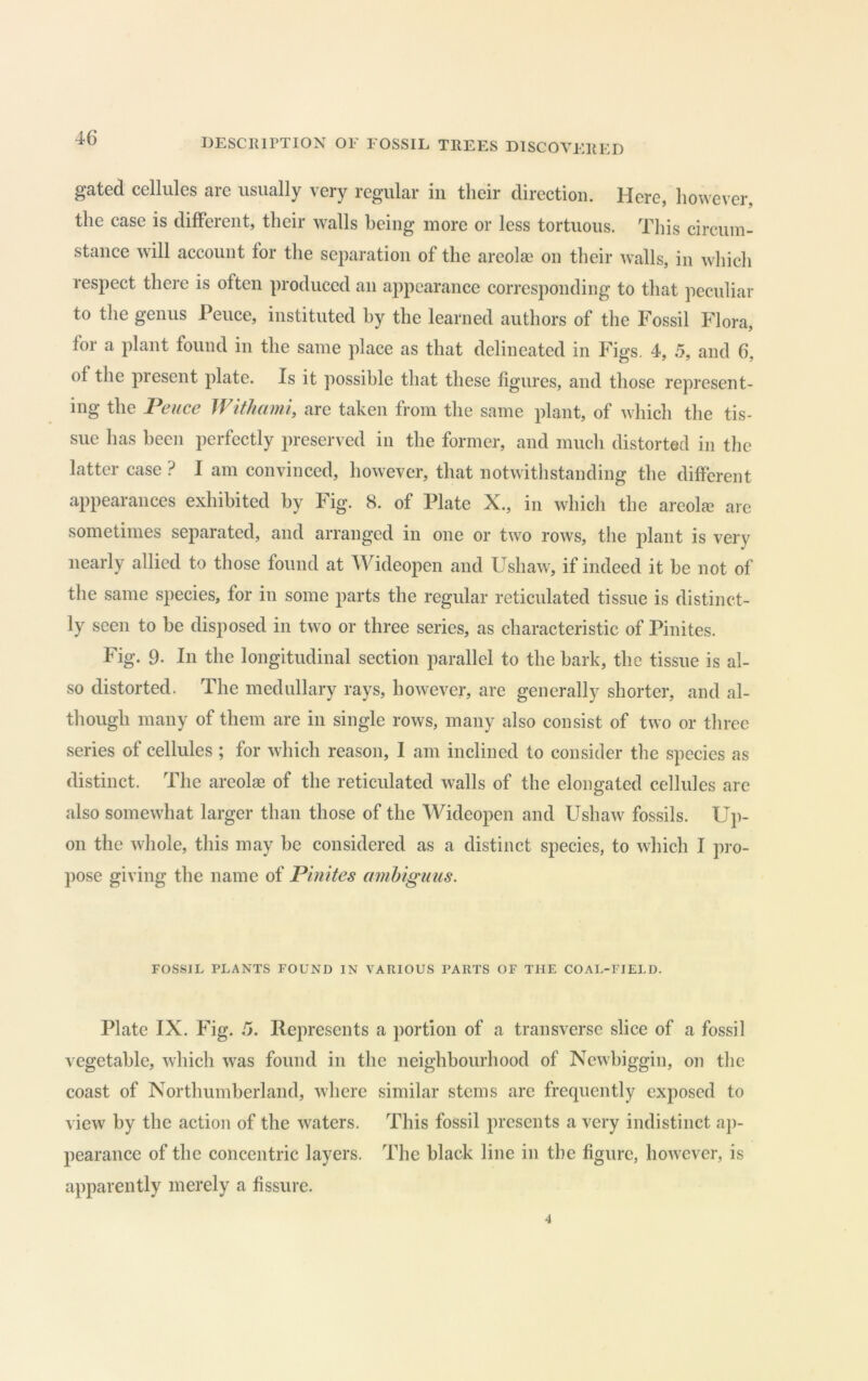 gated cellules are usually very regular in their direction. Here, however, the case is different, their walls being more or less tortuous. This circum- stance will account for the separation of the areolae on their walls, in which respect there is often produced an appearance corresponding to that peculiar to the genus Pence, instituted by the learned authors of the Fossil Flora, for a plant found in the same place as that delineated in Figs. 4, 5, and 6, of the present plate. Is it possible that these figures, and those represent- ing the Pence Withami, are taken from the same plant, of which the tis- sue has been perfectly preserved in the former, and much distorted in the latter case ? I am convinced, however, that notwithstanding the different appearances exhibited by Fig. 8. of Plate X., in which the areola? arc sometimes separated, and arranged in one or two rows, the plant is very nearly allied to those found at Wideopen and Ushaw, if indeed it he not of the same species, for in some parts the regular reticulated tissue is distinct- ly seen to be disj^osed in two or three series, as characteristic of Pinites. Fig. 9. In the longitudinal section parallel to the hark, the tissue is al- so distorted. The medullary rays, however, are generally shorter, and al- though many of them are in single rows, many also consist of two or three series of cellules ; for which reason, I am inclined to consider the species as distinct. The areolae of the reticulated walls of the elongated cellules are also somewhat larger than those of the Wideopen and Ushaw fossils. Up- on the whole, this may be considered as a distinct species, to which I pro- pose giving the name of Pinites amhiguus. FOSSIL PLANTS FOUND IN VARIOUS PARTS OF THE COAL-FIELD. Plate IX. Fig. 5. Represents a portion of a transverse slice of a fossil vegetable, which was found in the neighbourhood of Newbiggin, on the coast of Northumberland, where similar stems arc frequently exposed to view by the action of the waters. This fossil presents a very indistinct aji- pearance of the concentric layers. The black line in the figure, however, is apparently merely a fissure.