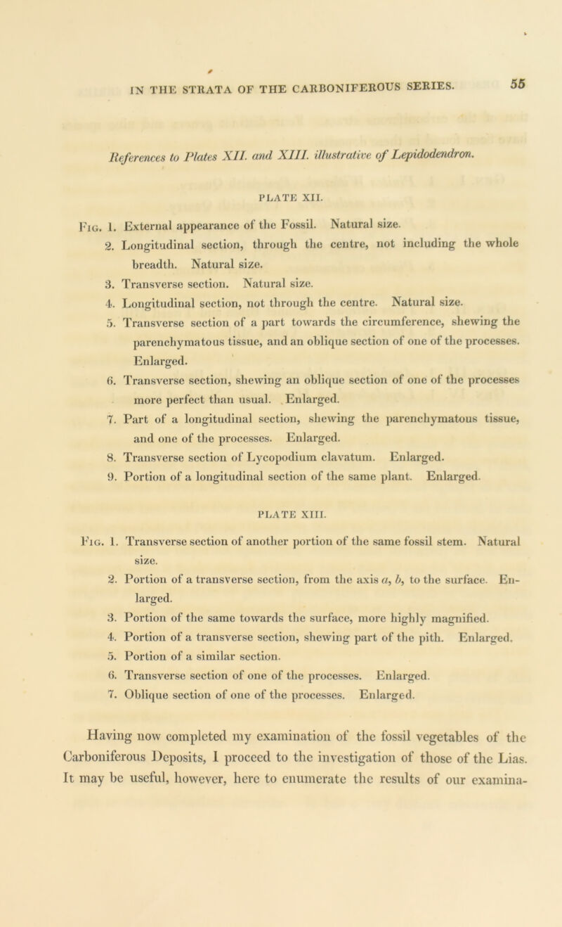 References to Plates XII. and XIII. illustrative of Lepidodendron. platp: XII. I'lG. 1. External appearance of tlie Fossil. Natural size. 2. Longitudinal section, through the centre, not including the whole breadth. Natural size. 3. Transverse section. Natural size. 4. Longitudinal section, not through the centre. Natural size. .5. Transverse section of a part towards the circumference, shewing the parenchymatous tissue, and an oblique section of one of the processes. Enlarged. 6. Transverse section, shewing an oblique section of one of the processes more perfect than usual. .Enlarged. 7. Part of a longitudinal section, shewing the parenchymatous tissue, and one of the processes. Enlarged. 8. Transverse section of Lycopodium clavatum. Enlarged. 9. Portion of a longitudinal section of the same plant. Enlarged. PLATE XIII. Fig. 1. Transverse section of another portion of the same fossil stem. Natural size. 2. Portion of a transverse section, from the axis a, 6, to the surface. En- larged. 3. Portion of the same towards the surface, more highly magnified. 4. Portion of a transverse section, shewing part of the pith. Enlarged. 5. Portion of a similar section. b. Transverse section of one of the processes. Enlarged. T. Oblique section of one of the processes. Enlarged. Having now completed my examination of the fossil vegetables of the Carboniferous ])eposits, 1 proceed to the investigation of those of the Lias. It may be useftd, however, here to enumerate the residts of our examina-