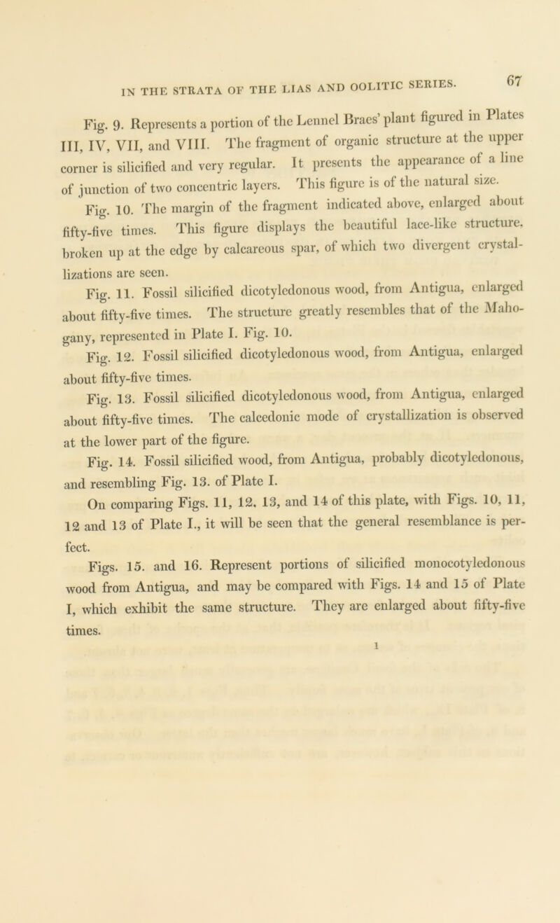 Fig. 9* Represents a portion of the Lennel Braes plant figured in Plates III, IV, VII, and VIII. The fragment of organic structure at the uppei corner is silicifiecl ami very regular. It presents the appearance of a line of junction of two concentric layers. This figure is of the natural size. Fig, 10. The margin of the fragment indicated above, enlarged about fifty-five times. This figure displays the beautiful lace-like structure, broken up at the edge by calcareous spar, of which two divergent crystal- lizations are seen. Fig. 11. Fossil silicified dicotyledonous wood, from Antigua, enlarged about fifty-five times. The structure greatly resembles that of the Maho- gany, represented in Plate I. Fig. 10. Fig. 12. Fossil silicified dicotyledonous wood, from Antigua, enlarged about fifty-five times. Fig. 13. Fossil silicified dicotyledonous wood, from Antigua, enlarged about fifty-five times. The calcedonic mode of crystallization is observed at the lower part of the figure. Fig. 14. Fossil silicified wood, from Antigua, probably dicotyledonous, and resembling Fig. 13. of Plate I. On comparing Figs. 11, 12, 13, and 14 of this plate, with Figs. 10, 11, 12 and 13 of Plate I., it will be seen that the general resemblance is per- fect. Figs. 15. and 16. Represent portions of silicified monocotyledonous wood from Antigua, and may be compared with Figs. 14 and 15 of Plate I, which exhibit the same structure. They are enlarged about fifty-five times. 1