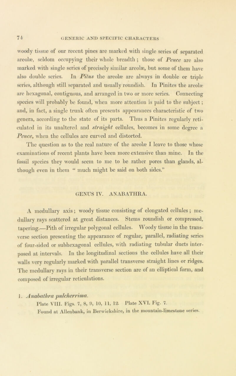 woody tissue of our recent pines are marked with single series of separated areolae, seldom occupying their whole breadth ; those of Pence are also marked with single series of precisely similar areolae, hut some of them have also double series. In Pitus the areolae are always in double or triple series, although still separated and usually roundish. In Pinites the areola' are hexagonal, contiguous, and arranged in two or more series. Connecting species will probably be found, when more attention is paid to the subject; and, in fact, a single trunk often presents appearances characteristic of two genera, according to the state of its parts. Thus a Pinites regularly reti- culated in its unaltered and sti'ciight cellules, becomes in some degree a Peuce^ when the cellules are curved and distorted. The question as to the real nature of the areolas I leave to those whose examinations of recent plants have been more extensive than mine. In the fossil species they would seem to me to be rather pores than glands, al- though even in them much might be said on both sides.” GENUS IV. ANABATHRA. A medullary axis; woody tissue consisting of elongated cellules ; me- dullary rays scattered at great distances. Stems roundish or compressed, tapering.—Pith of irregular polygonal cellules. Woody tissue in the trans- verse section presenting the appearance of regular, parallel, radiating series of four-sided or subhexagonal cellules, with radiating tubidar ducts inter- posed at intervals. In the longitudinal sections the cellules have all their walls very regularly marked with parallel transverse straight lines or ridges. The medullary rays in their transverse section are of an elliptical form, and composed of irregular reticulations. 1. A nabathra jmlclierrima. Plate Vlll. Figs. 7, 8, 9, 10, 11, 12. Plate XVI. Fig. 7. Found at Alleiibank, in Berwickshire, in the mountain-limestone series.