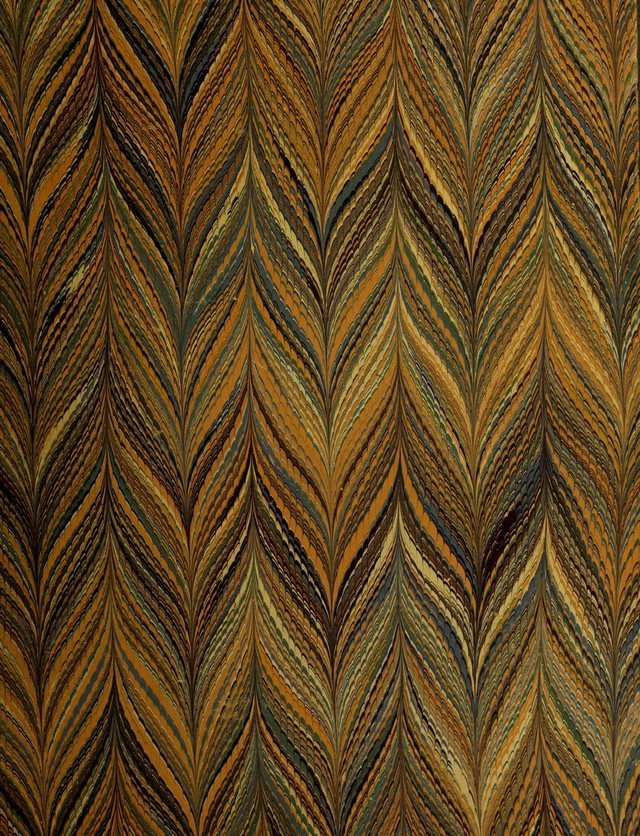 No text description is available for this image