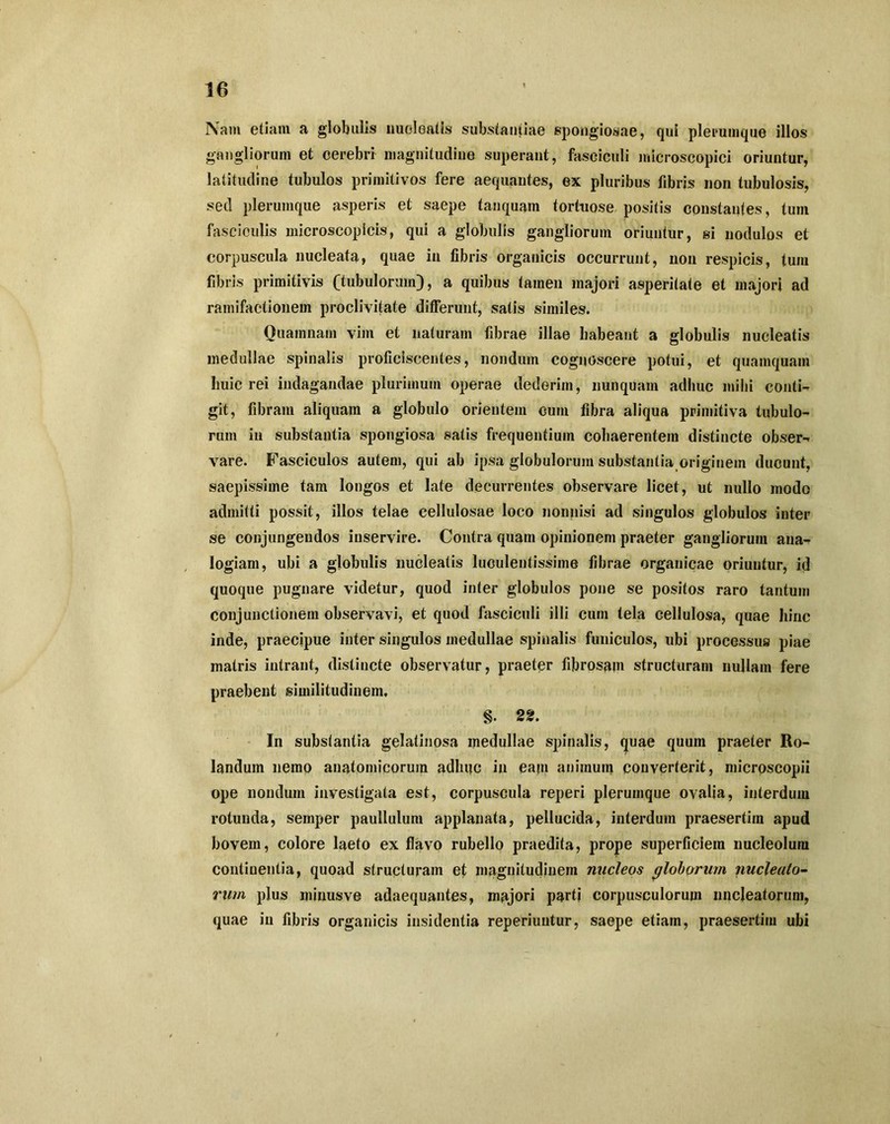 Nam etiam a globulis nucleatis substantiae spongiosae, qui plerumque illos gangliorum et cerebri magnitudine superant, fasciculi microscopici oriuntur, latitudine tubulos primitivos fere aequantes, ex pluribus fibris non tubulosis, sed plerumque asperis et saepe tanquam tortuose positis constantes, tum fasciculis microscopicis, qui a globulis gangliorum oriuntur, si nodulos et corpuscula nucleata, quae in fibris organicis occurrunt, non respicis, tum fibris primitivis (tubulorum), a quibus tamen majori asperitate et majori ad ramifactionem proclivitate differunt, satis similes. Quamnam vim et naturam fibrae illae habeant a globulis nucleatis medullae spinalis proficiscentes, nondum cognoscere potui, et quamquam huic rei indagandae plurimum operae dederim, nunquam adhuc mihi conti- git, fibram aliquam a globulo orientem cum fibra aliqua primitiva tubulo- rum in substantia spongiosa satis frequentium cohaerentem distincte obser- vare. Fasciculos autem, qui ab ipsa globulorum substantia originem ducunt, saepissime tam longos et late decurrentes observare licet, ut nullo modo admitti possit, illos telae cellulosae loco nonnisi ad singulos globulos inter se conjungendos inservire. Contra quam opinionem praeter gangliorum ana- logiam, ubi a globulis nucleatis luculentissime fibrae organicae oriuntur, id quoque pugnare videtur, quod inter globulos pone se positos raro tantum conjunctionem observavi, et quod fasciculi illi cum tela Gellulosa, quae hinc inde, praecipue inter singulos medullae spinalis funiculos, ubi processus piae matris intrant, distincte observatur, praeter fibrosam structuram nullam fere praebent similitudinem, §. 22. In substantia gelatinosa medullae spinalis, quae quum praeter Ro- landum nemo anatomicorum adhuc in eaui animum converterit, microscopii ope nondum investigata est, corpuscula reperi plerumque ovalia, interdum rotunda, semper paullulum applanata, pellucida, interdum praesertim apud bovem, colore laeto ex flavo rubello praedita, prope superficiem nucleolum continentia, quoad structuram et magnitudinem nucleos globorum nucleato- rum plus minusve adaequantes, majori partj corpusculorum nncjeatorum, quae in fibris organicis insidentia reperiuutur, saepe etiam, praesertim ubi