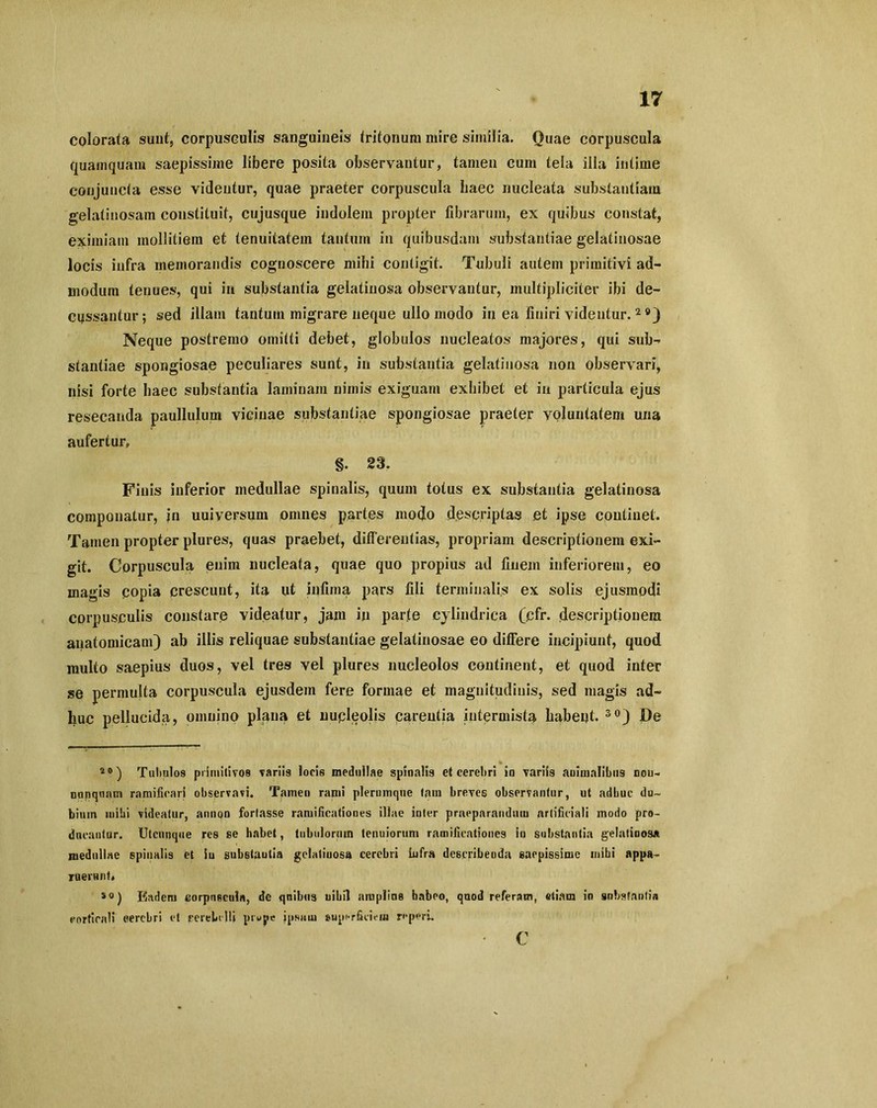 colorata sunt, corpusculis sanguineis tritonum mire similia. Quae corpuscula quamquam saepissime libere posita observantur, tamen cum tela illa intime conjuncta esse videntur, quae praeter corpuscula haec nucleata substantiam gelatinosam constituit, cujusque indolem propter fibrarum, ex quibus constat, eximiam mollitiem et tenuitatem tantum in quibusdam substantiae gelatinosae locis infra memorandis cognoscere mihi contigit. Tubuli autem primitivi ad- modum tenues, qui in substantia gelatinosa observantur, multipliciter ibi de- cussantur; sed illam tantum migrare neque ullo modo in ea finiri videntur.2 Neque postremo omitti debet, globulos nucleatos majores, qui sub- stantiae spongiosae peculiares sunt, in substantia gelatinosa non observari, nisi forte haec substantia laminam nimis exiguam exhibet et in particula ejus resecanda paullulum vicinae substantiae spongiosae praeter voluntatem una aufertur, §• 23. Finis inferior medullae spinalis, quum totus ex substantia gelatinosa componatur, in uuiversum omnes partes modo descriptas et ipse continet. Tamen propter plures, quas praebet, differentias, propriam descriptionem exi- git. Corpuscula enim nucleata, quae quo propius ad finem inferiorem, eo magis copia crescunt, ita ut infima pars fili terminalis ex solis ejusmodi corpusculis constare videatur, jam in parte cylindrica (cfr. descriptionem anatomicam) ab illis reliquae substantiae gelatinosae eo differe incipiunt, quod multo saepius duos, vel tres vel plures nucleolos continent, et quod inter se permulta corpuscula ejusdem fere formae et magnitudinis, sed magis ad- huc pellucida, omnino plana et nupleolis carentia intermista habent. 30) De 40 ) Tubulos primitivos -variis locis medullae spinalis et cerebri in variis animalibus nou- uunqunm ramificari observavi. Tamen rami plerumque tain breves observantur, ut adbuc du- bium inibi videatur, annon fortasse ramificatioues illae inter praeparandum artificiali modo pro- ducantur. Utcunque res se habet, tubulorum tenuiorum ramificatioues in substantia gelatinosa medullae spinulis et iu substautia gelaliuosa cerebri infra describenda saepissime mihi appa- ruerunt» so) Eadem corpuscula, de quibus uibil ampline babeo, quod referam, etiam in substantia corticali eerebri et rereltUi prope ipsam superficiem reperi. • c