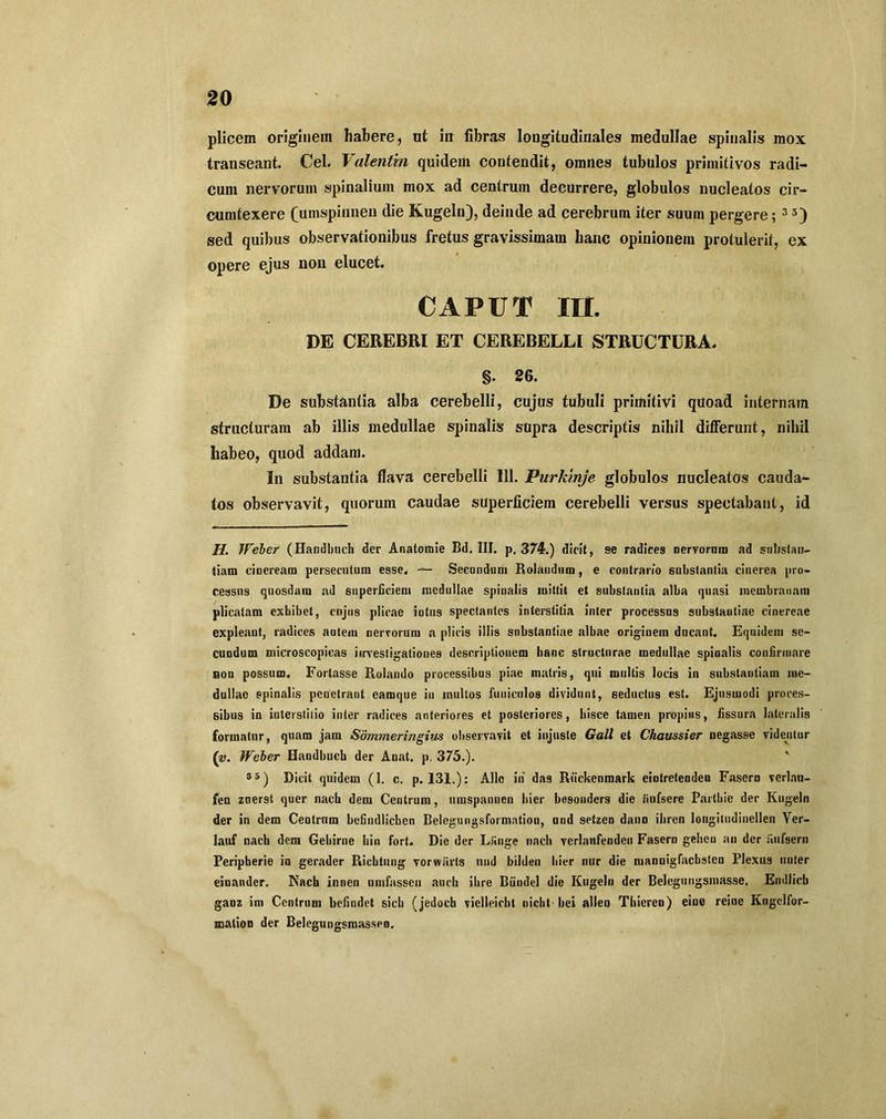 plicem originem habere, ut in fibras longitudinales medullae spinalis mox transeant. Cei. Valentia quidem contendit, omnes tubulos primitivos radi- cum nervorum spinalium mox ad centrum decurrere, globulos nucleatos cir- cumtexere (umspinnen die Kugeln), deinde ad cerebrum iter suum pergere; 3 5) sed quibus observationibus fretus gravissimam hanc opinionem protulerit, ex opere ejus non elucet. CAPUT III. DE CEREBRI ET CEREBELLI STRUCTURA. §. 26. De substantia alba cerebelli, cujus tubuli primitivi quoad internam structuram ab illis medullae spinalis supra descriptis nihil differunt, nihil habeo, quod addam. In substantia flava cerebelli 111. Purkinje globulos nucleatos cauda- tos observavit, quorum caudae superficiem cerebelli versus spectabant, id H. Weler (Handbuch der Anatomie Bd. III. p. 374.) dicit, se radices nervorum ad substan- tiam cineream persecutum esse. — Secondum Rotundum, e contrario substantia cinerea pro- cessus quosdam ad superficiem medullae spinalis mittit et substantia alba quasi membranam plicatam exhibet, cujus plicae iutus spectantes interstitia inter processus substantiae cinereae expleant, radices autem nervorum a plicis illis substantiae albae originem ducant. Equidem se- cundum microscopieas investigationes descriptionem hanc structurae medullae spinalis confirmare aon possum. Fortasse Rolando processibus piae matris, qui multis locis in substantiam me- dullao spinalis penetrant eamque in inultos funiculos dividunt, seductus est. Ejusmodi proces- sibus in interstitio inter radices anteriores et posteriores, hisce tamen propins, fissura lateralis formatur, quam jam Sihnmeringius observavit et injuste Gall et Chaussier negasse videntur (ai. Weber Haodbuch der Auat. p. 375.). 3S) Dicit quidem (1. c. p. 131.): Alie iti das Rcickenmark eintreteoden Fasern verlau- fen zuerst quer nach dem Centrum, inuspauuen hier besonders die iiufsere Parthie der Kugeln der in dem Centrnm befindlicken Belegungsformatiou, und setzen dano ibren longitudinellen Ver- lauf nach dem Gebirne hin fort. Die der Lange nach verlaufenden Fasern geheu an der aufsern Peripherie in gerader Richtung vorwiirts und bilden hier nur die mannigfachsten Plexti3 nuter einander. Nach innen umfassen anch ilire Biindel die Kugelu der Belcgungsmasse. Endlich gaDz im Centrum befindet sieh (jedoch vielleicht nicht hei alleo Thieren) eine reine Kugelfor- mation der Belegungsmassen.