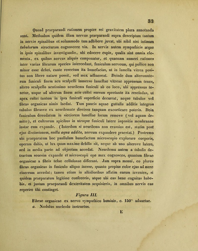 Quoad praeparandi rationem propter rei gravitatem plura annotanda sunt. Methodum quidem illam nervos praeparandi supra descriptam tantum in nervis spinalibus et solummodo tum adhibere juvat, ubi nihil nisi intimam tubulorum structuram cognoscere vis. In nervis autem sympathicis atque in ipsis spinalibus investigandis, ubi edocere cupis, qualia sint omnia ele- menta, ex quibus nervus aliquis componatur, et quaenam numeri rationes inter varias fibrarum species intercedant, funiculum nerveum, qui pollice non minor esse debet, caute resectum ita humefacias, ut in lamella vitrea posi- tus non libere natare possit, sed mox adhaereat. Deinde dum alterumute- rum funiculi finem acu scalpelli immerso lamellae vitreae appressum tenes, altero scalpello acutissimo neurilema funiculi ab eo loco, ubi appressus te- netur, usque ad alterum finem acie cultri sursum spectante ita rescindas, ut apex cultri tantum in ipsa funiculi superficie decurrat, neque tubulos vel fibras organicas nimis laedat. Tum paucis aquae guttulis additis integros tubulos fibrasve ex neurilemate discisso tanquam excorticare poteris. Dein funiculum denudatum in sicciorem lamellae locum remove (vel aquam de- mitte), et cultrorum apicibus in utroque funiculi latere impositis membranae instar eum expande. (Interdum si neurilema non crassius est, statirn post ejus discissionem, nulla aqua addita, nervum expandere praestat.) Postremo ubi praeparatum hoc paullulum humefactum microscopio explorare coeperis, operam dabis, ut lux quam maxime debilis sit, neque ab uno alterove latere, sed in media parte ad objectum accedat. Neurilema autem a tubulis de- tractum seorsiin expande et inicroscopii ope mox cognosces, quantum fibrae organicae a fibris telae cellulosae differant. Jam supra monui, eo plures fibras organicas in funiculo aliquo inesse, quanto propius color ejus ad mere cinereum accedat; tamen etiam in albidioribus affatim earum invenies, si quidem praeparatum legitime confeceris, atque ubi eas bene cognitas habe- bis, et justam praeparandi dexteritatem acquisieris, in omnibus nervis eas reperire tibi continget. Figura III. Fibrae organicae ex nervo sympathico hominis, c. 150s adauctae. a. Nodulus nucleolo instructus. E