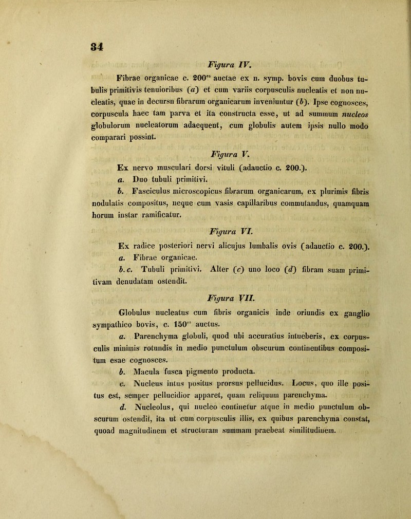 Figura IV. Fibrae organicae c. 200es auctae ex n. symp. bovis cum duobus tu- bulis primitivis tenuioribus («) et cum variis corpusculis nucleatis et non nu- cleatis, quae in decursu fibrarum organicarum inveniuntur (i). Ipse cognosces, corpuscula haec tam parva et ita constructa esse, ut ad summum nucleos globulorum nucleatorum adaequent, cum globulis autem ipsis nullo modo comparari possint. Figura V. Ex nervo musculari dorsi vituli (adauctio c. 200.). a. Duo tubuli primitivi. b. Fasciculus microscopicus fibrarum organicarum, ex plurimis fibris nodulatis compositus, neque cum vasis capillaribus commutandus, quamquam horum instar ramificatur. Figura VI. Ex radice posteriori nervi alicujus lumbalis ovis (adauctio c. 200.). a. Fibrae organicae. b. c. Tubuli primitivi. Alter (c) uno loco ('d) fibram suam primi- tivam denudatam ostendit. Figura VII. Globulus nucleatus cum fibris organicis inde oriundis ex ganglio sympathico bovis, c. 150es auctus. a. Parenchyma globuli, quod ubi accuratius intueberis, ex corpus- culis minimis rotundis in medio punctulum obscurum continentibus composi- tum esae cognosces. b. Macula fusca pigmento producta. c. Nucleus intus positus prorsus pellucidus. Locus, quo ille posi- tus est, semper pellucidior apparet, quam reliquum parenchyma. d. Nucleolus, qui nucleo continetur atque in medio punctulum ob- scurum ostendit, ita ut cum corpusculis illis, ex quibus parenchyma constat, quoad magnitudinem et structuram summam praebeat similitudinem.