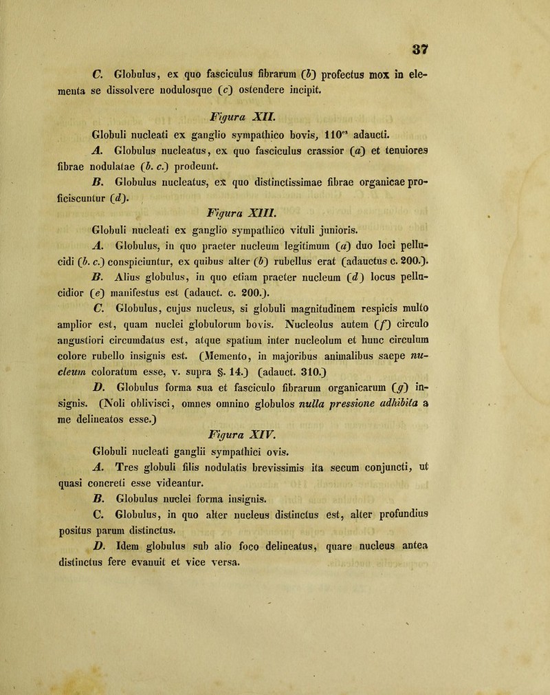 C. Globulus, ex quo fasciculus fibrarum (5) profectus mox in ele- meuta se dissolvere nodulosque (c) ostendere incipit. Figura XII. Globuli nucleati ex ganglio sympathico bovis, 110es adaucti. A. Globulus nucleatus, ex quo fasciculus crassior (a) et tenuiores fibrae nodulatae (b. c.) prodeunt. B. Globulus nucleatus, ex quo distinctissimae fibrae organicae pro- ficiscuntur (d). Figura XIII. Globuli nucleati ex ganglio sympathico vituli junioris. A. Globulus, in quo praeter nucleum legitimum (a) duo loci pellu- cidi (b. c.) conspiciuntur, ex quibus alter (i} rubellus erat (adauctus c. 200.). B. Alius globulus, in quo etiam praeter nucleum (<?) locus pellu- cidior (e) manifestus est (adauct. c. 200.). C. Globulus, cujus nucleus, si globuli magnitudinem respicis multo amplior est, quam nuclei globulorum bovis. Nucleolus autem (/) circulo angustiori circumdatus est, atque spatium inter nucleolum et hunc circulum colore rubello insignis est. (Memento, in majoribus animalibus saepe nu- cleum coloratum esse, v. supra §. 14.) (adauct. 310.) D. Globulus forma sua et fasciculo fibrarum organicarum (^) in- signis. (Noli oblivisci, omnes omnino globulos nulla pressione adhibita a me delineatos esse.) Figura XIV. Globuli nucleati ganglii sympathici ovis. A. Tres globuli filis nodulatis brevissimis ita secum conjuncti, ul quasi concreti esse videantur. B. Globulus nuclei forma insignis. C. Globulus, in quo alter nucleus distinctus est, alter profundius positus parum distinctus. D. Idem globulus sub alio foco delineatus, quare nucleus antea distinctus fere evanuit et vice versa.