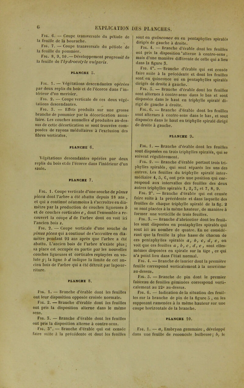 (> Fig. G. — Coupe transversale du pétiole de la feuille de la bourache. Fig. 7. —Coupe transversale du pétiole de la feuille du pommier. Fig. 8, 9,10.—Développement progressif de la feuille de Vhydrocotyle vulgavis. PLANCHE 5. Fig. 1. — Végétations descendantes opérées par deux replis du bois et de l’écorce dans l’in- térieur d’un merisier. Fig. 2. — Coupe verticale de ces deux végé- tations descendantes. Fig. 5. — Effets produits sur une grosse branche de pommier par la décortication annu- laire. Les couches annuelles d produites au-des- sus de cette décortication se sont trouvées com- posées de rayons médullaires à l’exclusion des fibres verticales. PLANCHE 6. Végétations descendantes opérées par deux replis du bois et de l’écorce dans l’intérieur d’un saule. PLANCHE 7. Fig. 1. Coupe verticale d’une souche de pinus picea dont l’arbre a été abattu depuis 18 ans , et qui a continué néanmoins à s’accroître en dia- mètre par la production de couches ligneuses b et de couches corticales e, dont l’ensemble a re- couvert la coupe d de l’arbre dont on voit ici l’ancien bois s. Fig. 2. — Coupe verticale d’une souche de pinus picea qui a continué de s’accroître en dia- mètre pendant 92 ans après que l’arbre a été abattu. L’ancien bois de l’arbre n’existe plus; sa place est occupée en partie par les nouvelles couches ligneuses et corticales reployées en vo- lute gla ligne b d indique la limite de cet an- cien bois de l’arbre qui a été détruit par la pour- riture. PLANCHE 8. Fig. 1. — Branche d’érable dont les feuilles ont leur disposition opposée croisée normale. Fig. 2. — Branche d’érable dont les feuilles ont pris la disposition alterne dans le môme sens. Fig. 3. — Branche d’érable dont les feuilles ont pris la disposition alterne à contre-sens. Fig. 3*. — Branche d’érable qui est censée faire suite à la précédente et dont les feuilles sont en quinconce ou en pcntaphyllcs spiralés dirigés de gauche à droite. F*0- 4. — Branche d’érable dont les feuilles ont pris la disposition ‘alterne à contre-sens, mais d une manière différente de celle qui a lieu dans la figure .3. Fig. 4*. — Branche d’érable qui est censée faire suite à la précédente et dont les feuilles sont en quinconce ou en pentaphvlles spiralés dirigés de droite à gauche. fiG. 5. — Branche d’érable dont les feuilles sont alternes à contre-sens dans le bas et sont disposées dans le haut en triphylle spiralé di- rigé de gauche à droite. Fig. 6. — Branche d’érable dont les feuilles sont alternes à contre-sens dans le bas, et sont disposées dans le haut en triphylle spiralé dirigé de droite à gauche. planche 9. Fig. 1. — Branche d’érahle dont les feuilles sont disposées en trois triphylies spiralés, qui se suivent régulièrement. Fig. 2. — Branche d’érable portant trois Iri- phylles spiralés, qui sont séparés les uns des autres. Les feuilles du triphylle spiralé inter- médiaire 4, 5, 6, ont pris une position qui cor- respond aux intervalles des feuilles des deux autres triphylles spiralés 1, 2, 3, et 7, 8, 9. Fig. 2*. — Branche d’érable qui est censée faire suite à la précédente et dans laquelle des feuilles de chaque triphylle spiralé de la fig. 2 se sont placées à la môme hauteur, de manière à former une verticille de trois feuilles. Fig. 3. — Branche d’abricotier dont les feuil- les sont disposées en pentaphylles spiralés qui sont ici au nombre de quatre. En ne considé- rant que la feuille la plus basse de chacun de ces pentaphylles spiralés a, b, c, d, e, on voit que ces feuilles a , b, c, d, e , sont elles- mêmes disposées en spirale sur la lige , ce qui n’a point lieu dans l’état normal. Fig. 4. — Branche de laurier dont la première feuille correspond verticalement à la neuvième au-dessus. Fig. 5. — Branche de pin dont le premier faisceau de feuilles géminées correspond verti- calement au 22o au-dessus. Fig. G. — Indication de la situation des feuil- les sur la branche de pin de la figure 5 , en les supposant ramenées à la même hauteur sur uue coupe horizontale de la branche. planche 10. Fig. 1. — a, Embryon gemmairc , développé dans une feuille de renoncule bulbeuse; b, le