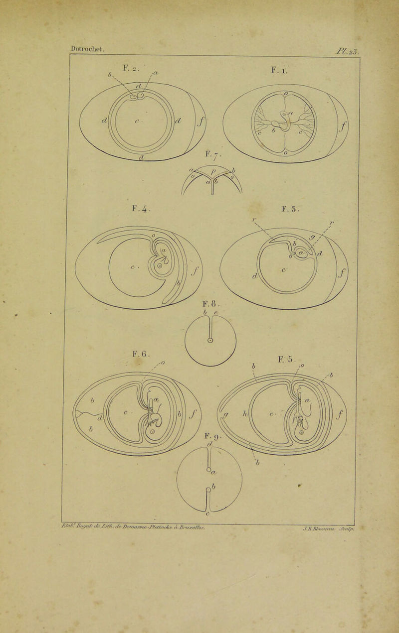 •f n Brtr.rr/Mr. ./. RJttiMtArttt
