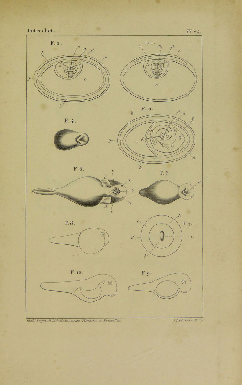 fïtrih* lUtif 'nl t(c Lit/i.dt.Dcntas/nc -Flcti/tcJùr n Bruæcltes. J. /!. Bl asseau &uîp.