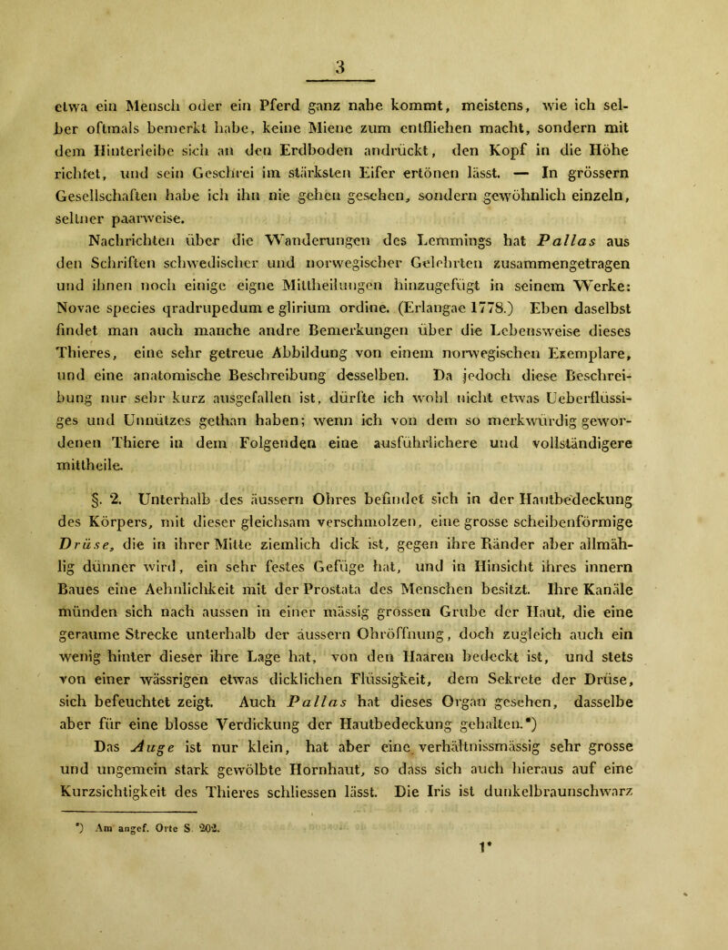 etwa ein Mensch oder ein Pferd ganz nahe kommt, meistens, wie ich sel- ber oftmals bemerkt habe, keine Miene zum entfliehen macht, sondern mit dem Hinterieibe sich an den Erdboden andrückt, den Kopf in die Höhe richtet, und sein Geschrei im stärksten Eifer ertönen lässt. — In grossem Gesellschaften habe ich ihn nie gehen gesehen, sondern gewöhnlich einzeln, seltner paarweise. Nachrichten über die Wanderungen des Lemmings hat Pallas aus den Schriften schwedischer und norwegischer Gelehrten zusammengetragen und ihnen noch einige eigne Mittheilungen hinzugefügt in seinem Werke: Novae species qradrupedum e glirium ordine. (Erlangae 1778.) Eben daselbst findet man auch manche andre Bemerkungen über die Lebensweise dieses Thieres, eine sehr getreue Abbildung von einem norwegischen Exemplare, und eine anatomische Beschreibung desselben. Da jedoch diese Beschrei- bung nur sehr kurz ausgefallen ist, dürfte ich wohl nicht etwas Uebcrflüssi- ges und Unnützes gethan haben; wenn ich von dem so merkwürdig gewor- denen Thiere in dem Folgenden eine ausführlichere und vollständigere mittheile. §. 2. Unterhalb des äussern Ohres befindet sich in der Hautbedeckung des Körpers, mit dieser gleichsam verschmolzen, eine grosse scheibenförmige Drüse, die in ihrer Mitte ziemlich dick ist, gegen ihre Ränder aber allmäh- lig dünner wird, ein sehr festes Gefüge hat, und in Hinsicht ihres Innern Baues eine Aehnlichkeit mit der Prostata des Menschen besitzt. Ihre Kanäle münden sich nach aussen in einer massig grossen Grube der Haut, die eine geraume Strecke unterhalb der äussern Ohröffnung, doch zugleich auch ein wenig hinter dieser ihre Lage hat, von den Haaren bedeckt ist, und stets von einer wässrigen etwas dicklichen Flüssigkeit, dem Sekrete der Drüse, sich befeuchtet zeigt. Auch Pallas hat dieses Organ gesehen, dasselbe aber für eine blosse Verdickung der Hautbedeckung gehalten.*) Das Auge ist nur klein, hat aber eine verhältnissmässig sehr grosse und ungemein stark gewölbte Hornhaut, so dass sich auch hieraus auf eine Kurzsichtigkeit des Thieres schliessen lässt. Die Iris ist dunkelbraunschwarz *) Ara angef. Orte S '202. 1*