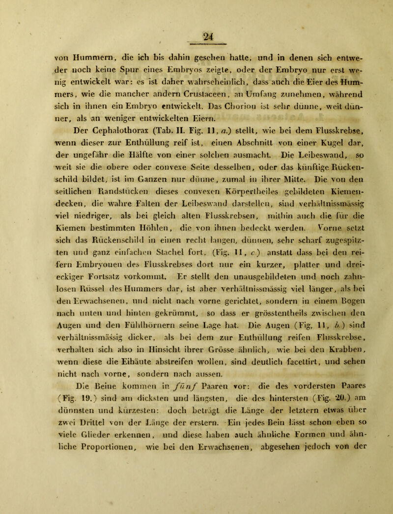 von Hummern, die ich bis dahin gesehen hatte, und in denen sich entwe- der noch keine Spur eines Embryos zeigte, oder der Embryo nur erst we- nig entwickelt war: es ist daher wahrscheinlich, dass auch die Eier des Hum- mers, wie die mancher andern Crustnceen, an Umfang zunehmen, während sich in ihnen ein Embryo entwickelt. Das Chorion ist sehr dünne, weit dün- ner, als an weniger entwickelten Eiern. Der Cephalothorax (Tab. II. Fig. 11, ab) stellt, wie bei dem Flusskrebse, wenn dieser zur Enthüllung reif ist, einen Abschnitt von einer Kugel dar, der ungefähr die Hälfte von einer solchen ausmacht Die Leibeswand, so weit sie die obere oder convexe Seite desselben, oder das künftige Rücken- schild bildet, ist im Ganzen nur dünne, zumal in ihrer Milte. Die von den seitlichen Piandstücken dieses convexen Körperlheiles gebildeten Kiemen- decken, die wahre Falten der Leibeswand darstellen, sind verhältnissmässig viel niedriger, als bei gleich alten Flusskrebsen, mithin auch die für die Kiemen bestimmten Höhlen, die von ihnen bedeckt werden. Vorne setzt sich das Rückenschild in einen recht langen, dünnen, sehr scharf zugespitz- ten und ganz einfachen Stachel fort, (Fig. 11, c.) anstatt dass bei den rei- fem Embryonen des Flusskrebses dort nur ein kurzer, platter und drei- eckiger Fortsatz vorkommt. Er stellt den unausgebildeten und noch zahn- losen Rüssel des Hummers dar, ist aber verhältnissmässig viel länger, als hei den Erwachsenen, und nicht nach vorne gerichtet, sondern in einem Bogen nach unten und hinten gekrümmt, so dass er grösstentheils zwischen den Augen und den Fühlhörnern seine Lage hat. Die Augen (Fig, 11, b.) sind verhältnissmässig dicker, als bei dem zur Enthüllung reifen Flusskrebse, verhalten sich also in Hinsicht ihrer Grösse ähnlich, wie bei den Krabben, wenn diese die Eihäute abstreifen wollen, sind deutlich facettirt, und sehen nicht nach vorne, sondern nach aussen. Die Reine kommen in fünf Paaren vor: die des vordersten Paares (Fig. 19.) sind am dicksten und längsten, die des hintersten (Fig. ’2U.) am dünnsten und kürzesten: doch beträgt die Länge, der letztem etwas über zwei Drittel von der Länge der erstem. Ein jedes Bein lässt schon eben so viele Glieder erkennen, und diese haben auch ähnliche Formen und ähn- liche Proportionen, wie hei den Erwachsenen, abgesehen jedoch von der