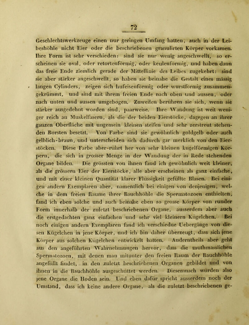 Geschlechtswerkzeuge einen mir geringen Umfang hatten, auch in der Lei- beshöhle nicht Eier oder die beschriebenen granulirten Körper vorkamen. Ihre Form ist sehr verschieden: sind sie nur wenig an geschwellt, so er- scheinen sie oval, oder retortenförmig, oder keulenförmig, und haben dann das freie Ende ziemlich gerade der Mittellinie des Leibes zugekehrt: sind sie aber stärker angeschwellt, so haben sie beinahe die Gestalt eines massig / langen Cylinders, zeigen sich hufeisenförmig oder wurstförmig zusammen- gekrümmt, und sind mit ihrem freien Ende nach oben und aussen, oder nach unten und aussen umgebogen. Zuweilen berühren sie sich, wenn sie stärker ausgedehnt worden sind, paarweise. Ihre Wandung ist weit weni- ger reich an Muskelfasern, als die der beiden Eierstöcke, dagegen an ihrer ganzen Oberfläche mit ungemein kleinen steifen und sehr zerstreut stehen- den Borsten besetzt. Von Farbe sind sie gewöhnlich goldgelb oder auch gelblich-braun, und unterscheiden sich dadurch gar merklich von den Ei-er- stöckcn. Diese Farbe aber-rührt her von sehr kleinen kugelförmigen Kör- pern, die sich in grosser Menge in der Wandung der in Rede stehenden Organe bilden. Die grössten von ihnen fand ich gewöhnlich weit kleiner, als die grossem Eier der Eierstöcke, alle aber erscheinen als ganz einfache, und mit einer kleinen Quantität klarer Flüssigkeit gefüllte Blasen. Bei eini- gen andern Exemplaren aber, namentlich hei einigen von denjenigen, wel- che in dem freien Flaume ihrer Bauchhöhle die Spermatozoon enthielten, fand ich eben solche und auch beinahe eben so grosse Körper von runder Form innerhalb der zuletzt beschriebenen Organe, ausserdem aber auch die erstgedachten ganz einfachen und sehr viel kleinern Kügelchen. Bei noch einigen andern Exemplaren fand ich verschiedne Uebergänge von die- sen Kügelchen in jene Körper, und ich bin daher überzeugt, dass sich jene Körper aus solchen Kügelchen entwickelt hatten. Anderntheils aber geht aus den angeführten Wahrnehmungen hervor, dass die muthmasslicben Spermatozoen, mit denen man mitunter den freien Fiaum der Bauchhöhle angefüllt findet, in den zuletzt beschriebenen Organen gebildet und von ihnen in die Bauchhöhle ausgeschüttet werden. Diesemnach würden also jene Organe die Hoden sein. Und eben dafür spricht ausserdem noch der Umstand, dass ich keine andere Organe, als die zuletzt beschriebenen ge-