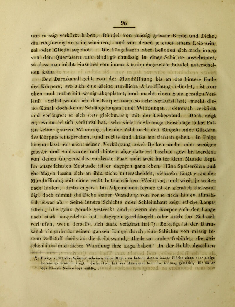 nur massig verkürzt haben, Bündel von massig grosser Breite und Dicke, die ringförmig zu sein scheinen, und von denen je eines einem Leibesrin- gel oder Gliede angehört. Die Längsfasern aber befinden sich nach innen von den Querfasern und sind gleichmässig in einer Schichte ausgebreilet, so dass man nicht einzelne von ihnen zusammengesetzte Bündel unterschei- den kann. Der Darmkanal geht von der Mundöffnung bis an das hintere Ende des Körpers, wo sich eine kleine rundliche Afteröffnung befindet, ist von eben und unten ein wenig abgeplattet, und macht einen ganz geraden Ver- kauf. Selbst wenn sich der Körper noch so sehr verkürzt hat, macht die- ser Kanal doch keine Schlängelungen und Windungen: demnach verkürzt und verlängert er sich stets gleichmässig mit der Leibeswand. Doch zeigt er, wenn er sich verkürzt hat, sehr viele ringförmige Einschläge oder Fal- ten seiner ganzen Wandung, die der Zahl nach den Ringeln oder Gliedern des Körpers entsprechen, und rechts und links am tiefsten gehen. In Folge hievon läsat er nach seiner Verkürzung zwei Reihen mehr oder weniger grosser und von vorne und hinten abgeplatteter Taschen gewahr werden, von denen übrigens das vorderste Paar nicht weit hinter dem Munde liegt. Im ausgedehnten Zustande ist er dagegen ganz eben. Eine Speiseröhre und ein Magen lassen sich an ihm nicht unterscheiden, vielmehr fängt er an der Mundöffnung mit einer recht beträchtlichen Weite an, und wird, je weiter nach hinten, desto enger. Im Allgemeinen ferner ist er ziemlich dickwan- dig: doch nimmt die Dicke seiner Wandung von vorne nach hinten allmäh- lich etwas ab. Seine innere Schichte oder Schleimhaut zeigt etliche Längs- falten , die ganz gerade gestreckt sind, wenn der Körper sich der Länge nach stark ausgedehnt hat, dagegen geschlängelt roder auch im Zickzack verlaufen, wenn derselbe sich stark verkürzt hat*) Befestigt ist der Darm- kanal ringsum in seiner ganzen Länge durch eine Schichte von massig fe- stem Zellstoff thebls an die Lcibeswand, thcils an andre Gebilde, die zwi- schen ihm. mul dieser Wandung ihre Lage haben.' In der Ilöhle desselben ■ eu * .! ■■ . .. !/; *) Einige verwandte Würmer scheinen einen Magen r.u haben, dessen innere Fläche einen oder einige hornartige Stacheln tragt. Johnston hat aus ihnen eine besondre Gattung gemacht, für die er den Namen Nemerles wähHc.