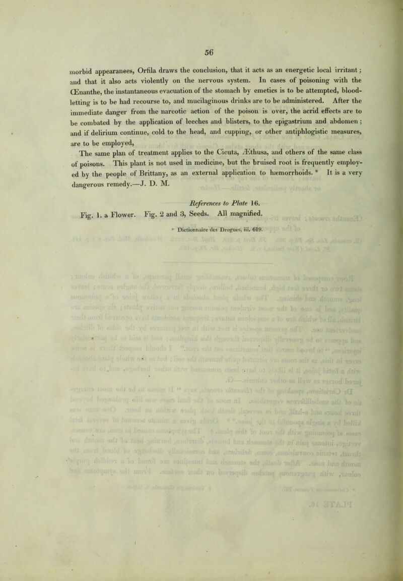 morbid appearanees, Orfila draws the conclusion, that it acts as an energetic local irritant; and that it also acts violently on the nervous system. In cases of poisoning with the (Enanthe, the instantaneous evacuation of the stomach by emetics is to be attempted, blood- letting is to be had recourse to, and mucilaginous drinks are to be administered. After the immediate danger from the narcotic action of the poison is over, the acrid effects are to be combated by the application of leeches and blisters, to the epigastrium and abdomen; and if delirium continue, cold to the head, and cupping, or other antiphlogistic measures, are to be employed, The same plan of treatment applies to the Cicuta, iEthusa, and others of the same class of poisons. This plant is not used in medicine, but the bruised root is frequently employ- ed by the people of Brittany, as an external application to haemorrhoids, * It is a very dangerous remedy.—J. D. M. References to Plate i 6. Fig. 1. a Flower. Fig. 2 and 3, Seeds. All magnified.