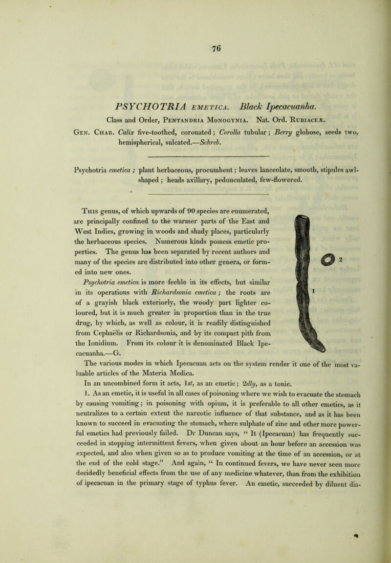 PSYCHO TRIA emetic a. Black Ipecacuanha. Class and Order, Pentandria Monogynia. Nat. Ord. Rubiacea;. Gen. Char. Calix five-toothed, coronated ; Corolla tubular; Berry globose, seeds two, hemispherical, sulcated.—Schreb. Psychotria emetica ; plant herbaceous, procumbent; leaves lanceolate, smooth, stipules awl- shaped ; heads axillary, pedunculated, few-flowered. This genus, of which upwards of 90 species are enumerated, are principally confined to the warmer parts of the East and West Indies, growing in woods and shady places, particularly the herbaceous species. Numerous kinds possess emetic pro- perties. The genus has been separated by recent authors and many of the species are distributed into other genera, or form- ed into new ones. Psychotria emetica is more feeble in its effects, but similar in its operations with Richardsonia emetica; the roots are of a grayish black exteriorly, the woody part lighter co- loured, but it is much greater in proportion than in the true drug, by which, as well as colour, it is readily distinguished from Cephaelis or Richardsonia, and by its compact pith from the Ionidium. From its colour it is denominated Black Ipe- cacuanha.—G. The various modes in which Ipecacuan acts on the system render it one of the most va- luable articles of the Materia Medica. In an uncombined form it acts, ls£, as an emetic; 2dly, as a tonic. 1. As an emetic, it is useful in all cases of poisoning where we wish to evacuate the stomach by causing vomiting; in poisoning with opium, it is preferable to all other emetics, as it neutralizes to a certain extent the narcotic influence of that substance, and as it has been known to succeed in evacuating the stomach, where sulphate of zinc and other more power- ful emetics had previously failed. Dr Duncan says, “ It (Ipecacuan) has frequently suc- ceeded in stopping intermittent fevers, w hen given about an hour before an accession was expected, and also when given so as to produce vomiting at the time of an accession, or at the end of the cold stage.” And again, “ In continued fevers, we have never seen more decidedly beneficial effects from the use of any medicine whatever, than from the exhibition of ipecacuan in the primary stage of typhus fever. An emetic, succeeded by diluent dia-
