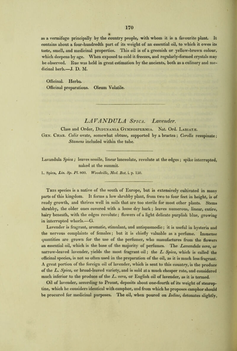 as a vermifuge principally by the country people, with whom it is a favourite plant. It contains about a four-hundredth part of its weight of an essential oil, to which it owes its taste, smell, and medicinal properties. This oil is of a greenish or yellow-brown colour, which deepens by age. When exposed to cold it freezes, and regularly-formed crystals may be observed. Rue was held in great estimation by the ancients, both as a culinary and me- dicinal herb.—J. D. M. Officinal. Herba. Officinal preparations. Oleum Volatile. LAVANDULA Spica. Lavender. Class and Order, Didynamia Gymnospermia. Nat. Ord. Labiate. Gen. Char. Calix ovate, somewhat obtuse, supported by a bractea; Corolla resupinate; Stamens included within the tube. Lavandula Spica ; leaves sessile, linear lanceolate, revolute at the edges ; spike interrupted, naked at the summit. L. Spica, Lin. Sp. PI. 800. Woodville, Med. Bot. i. p. 150. This species is a native of the south of Europe, but is extensively cultivated in many parts of this kingdom. It forms a low shrubby plant, from two to four feet in height, is of ready growth, and thrives well in soils that are too sterile for most other plants. Stems shrubby, the older ones covered with a loose dry bark; leaves numerous, linear, entire, hairy beneath, with the edges revolute; flowers of a light delicate purplish blue, growing in interrupted whorls.—G. Lavender is fragrant, aromatic, stimulant, and antispasmodic; it is useful in hysteria and the nervous complaints of females; but it is chiefly valuable as a perfume. Immense quantities are grown for the use of the perfumer, who manufactures from the flowers an essential oil, which is the base of the majority of perfumes. The Lavandula vera, or narrow-leaved lavender, yields the most fragrant oil; the L. Spica, which is called the officinal species, is not so often used in the preparation of the oil, as it is much less fragrant. A great portion of the foreign oil of lavender, which is sent to this country, is the produce of the L. Spica, or broad-leaved variety, and is sold at a much cheaper rate, and considered much inferior to the produce of the L. vera, or English oil of lavender, as it is termed. Oil of lavender, according to Proust, deposits about one-fourth of its weight of stearop- tine, which he considers identical with camphor, and from which he proposes camphor should be procured for medicinal purposes. The oil, when poured on Iodine, detonates slightly,