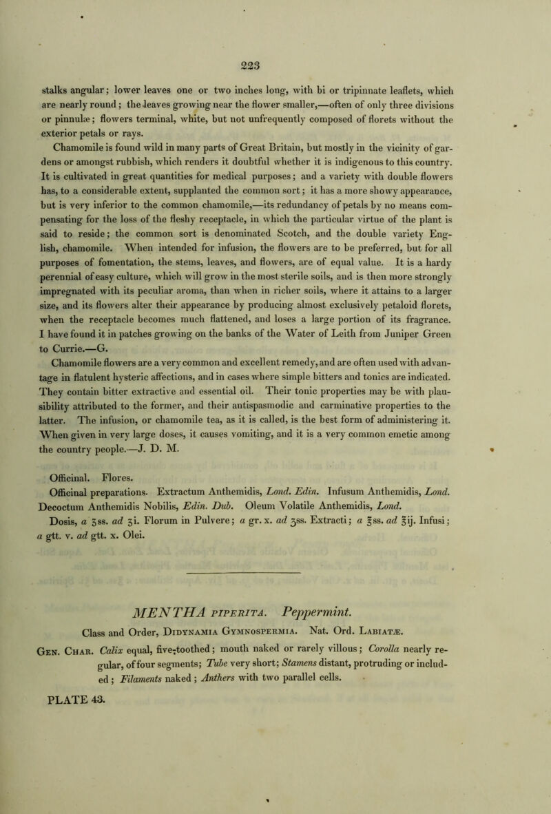 stalks angular; lower leaves one or two inches long, with bi or tripinnate leaflets, which are nearly round ; the leaves growingnear the flower smaller,—often of only three divisions or pinnulae; flowers terminal, white, but not unfrequently composed of florets without the exterior petals or rays. Chamomile is found wild in many parts of Great Britain, but mostly in the vicinity of gar- dens or amongst rubbish, which renders it doubtful whether it is indigenous to this country. It is cultivated in great quantities for medical purposes; and a variety with double flowers has, to a considerable extent, supplanted the common sort; it has a more showy appearance, but is very inferior to the common chamomile,—its redundancy of petals by no means com- pensating for the loss of the fleshy receptacle, in which the particular virtue of the plant is said to reside; the common sort is denominated Scotch, and the double variety Eng- lish, chamomile. When intended for infusion, the flowers are to be preferred, but for all purposes of fomentation, the stems, leaves, and flowers, are of equal value. It is a hardy perennial of easy culture, which will grow in the most sterile soils, and is then more strongly impregnated with its peculiar aroma, than when in richer soils, where it attains to a larger size, and its flowers alter their appearance by producing almost exclusively petaloid florets, when the receptacle becomes much flattened, and loses a large portion of its fragrance. I have found it in patches growing on the banks of the Water of Leith from Juniper Green to Currie.—G. Chamomile flowers are a very common and excellent remedy, and are often used with advan- tage in flatulent hysteric affections, and in cases where simple bitters and tonics are indicated. They contain bitter extractive and essential oil. Their tonic properties may be with plau- sibility attributed to the former, and their antispasmodic and carminative properties to the latter. The infusion, or chamomile tea, as it is called, is the best form of administering it. When given in very large doses, it causes vomiting, and it is a very common emetic among the country people.—J. D. M. * Officinal. Flores. Officinal preparations. Extractum Anthemidis, Lorul. Edin. Infusum Anthemidis, Land. Decoctum Anthemidis Nobilis, Edin. Dub. Oleum Volatile Anthemidis, Lond. Dosis, a 5ss. ad 3L Florum in Pulvere; a gr. x. ad 3SS. Extracti; a §ss. ad §ij. Infusi; a gtt. v. ad gtt. x. Olei. MENTHA piperita. Peppermint. Class and Order, Didynamia Gymnospermia. Nat. Ord. Labiate. Gen. Char. Calix equal, five:toothed; mouth naked or rarely villous; Corolla nearly re- gular, of four segments; Tube very short; Stamens distant, protruding or includ- ed ; Filaments naked ; Anthers with two parallel cells. PLATE 43.