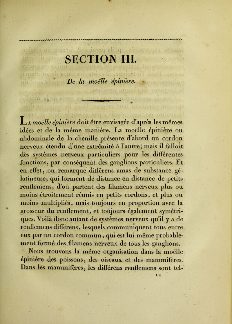 ! SECTION III. De la moelle épinière. La moelle épinière doit être envisagée d’après les mêmes idées et de la même manière. La moelle épinière ou abdominale de la chenille présente d’abord un cordon nerveux étendu d’une extrémité à l’autre; mais il falloit des systèmes nerveux particuliers pour les différentes fonctions, par conséquent des ganglions particuliers. Et en effet, on remarque différens amas de substance gé- latineuse, qui forment de distance en distance de petits renflemens, d’où partent des filamens nerveux plus ou moins étroitement réunis en petits cordons, et plus ou moins multipliés, mais toujours en proportion avec la grosseur du renflement, et toujours également symétri- ques. Voilà donc autant de systèmes nerveux qu’il y a de renflemens différens, lesquels communiquent tous entre eux par un cordon commun, qui est lui-même probable- ment formé des filamens nerveux de tous les ganglions. Nous trouvons la même organisation dans la moelle épinière des poissons, des oiseaux et des mammifères. Dans les mammifères, les différens renflemens sont tel- \