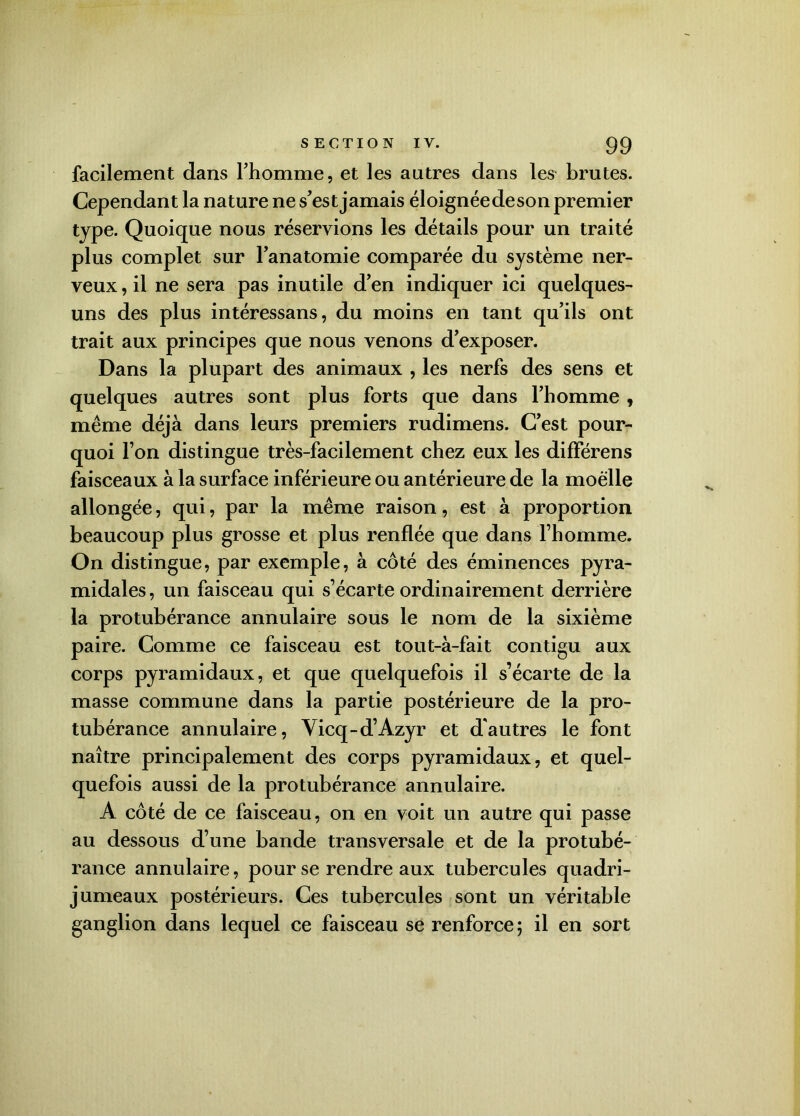 facilement dans l’homme, et les autres dans les brutes. Cependant la nature ne s’est jamais éloignéedeson premier type. Quoique nous réservions les détails pour un traité plus complet sur l’anatomie comparée du système ner- veux , il ne sera pas inutile d’en indiquer ici quelques- uns des plus intéressans, du moins en tant qu’ils ont trait aux principes que nous venons d’exposer. Dans la plupart des animaux , les nerfs des sens et quelques autres sont plus forts que dans l’homme , même déjà dans leurs premiers rudimens. C’est pour- quoi l’on distingue très-facilement chez eux les différens faisceaux à la surface inférieure ou antérieure de la moelle allongée, qui, par la même raison, est à proportion beaucoup plus grosse et plus renflée que dans l’homme. On distingue, par exemple, à côté des éminences pyra- midales, un faisceau qui s’écarte ordinairement derrière la protubérance annulaire sous le nom de la sixième paire. Comme ce faisceau est tout-à-fait contigu aux corps pyramidaux, et que quelquefois il s’écarte de la masse commune dans la partie postérieure de la pro- tubérance annulaire, Yicq-d’Azyr et d'autres le font naître principalement des corps pyramidaux, et quel- quefois aussi de la protubérance annulaire. A côté de ce faisceau, on en voit un autre qui passe au dessous d’une bande transversale et de la protubé- rance annulaire, pour se rendre aux tubercules quadri- jumeaux postérieurs. Ces tubercules sont un véritable ganglion dans lequel ce faisceau se renforce; il en sort