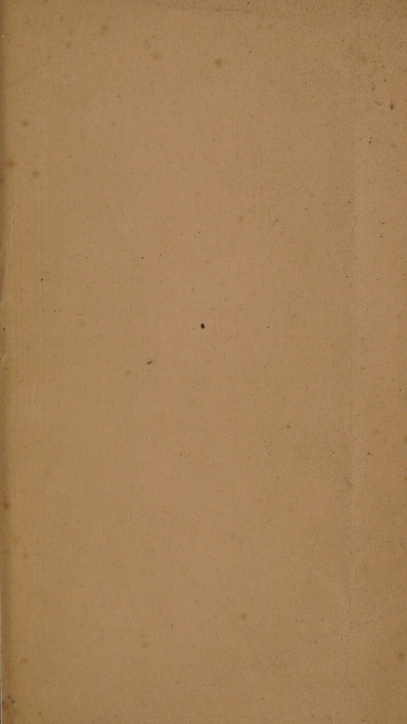 a Snir ‘eS = o4 “ oe