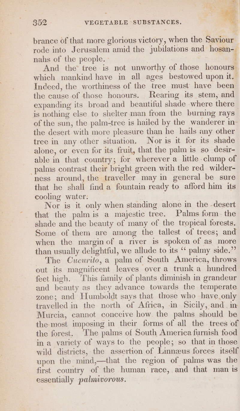 brance of that more glorious victory, when the Saviour rode into Jerusalem amid the jubilations and hosan-_ nahs of the people.» i And the tree is not unworthy of those honours’ which mankind have in all ages bestowed upon it. Indeed, the worthiness of the tree must have been the cause of those honours. Rearing its stem, and expanding its broad and beautiful shade where there is nothing else to shelter man from the burning rays of the sun, the palm-tree is hailed by the wanderer in- the desert with more pleasure than he hails any other tree in any other situation. Nor is it for its shade alone, or even for its fruit, that the palm is so desir- able in that country; for wherever a little clump of palms contrast their bright green with the red wilder- ness around, the traveller may in general be sure that he shall find a fountain ready to afford him its cooling water: Nor is it only when standing alone in the -desert that the palmis a majestic tree. Palms form. the shade and the beauty of many of the tropical forests. Some of them are among the tallest of trees; and when the marginof a river is spoken of as more than usually delightful, we allude to its ‘* palmy side.”’ The Cucurito, a palm of South America, throws out its magnificent leaves over a trunk a hundred feet high. ‘This family of plants diminish in grandeur and beauty as they advance towards the temperate zone; and Humboldt says that those who have.only travelled in the north of Africa, in Sicily, and. im Murcia, cannot conceive how. the palms should be the most imposing in their forms of all the trees of the forest. The palms of South America furnish food in a variety of ways to the people; so that in those wild districts, the assertion of Linnzeus forces itself upon the mind,—that the region of palms was the first country of the human race, and that man is essentially palmvorous. / :