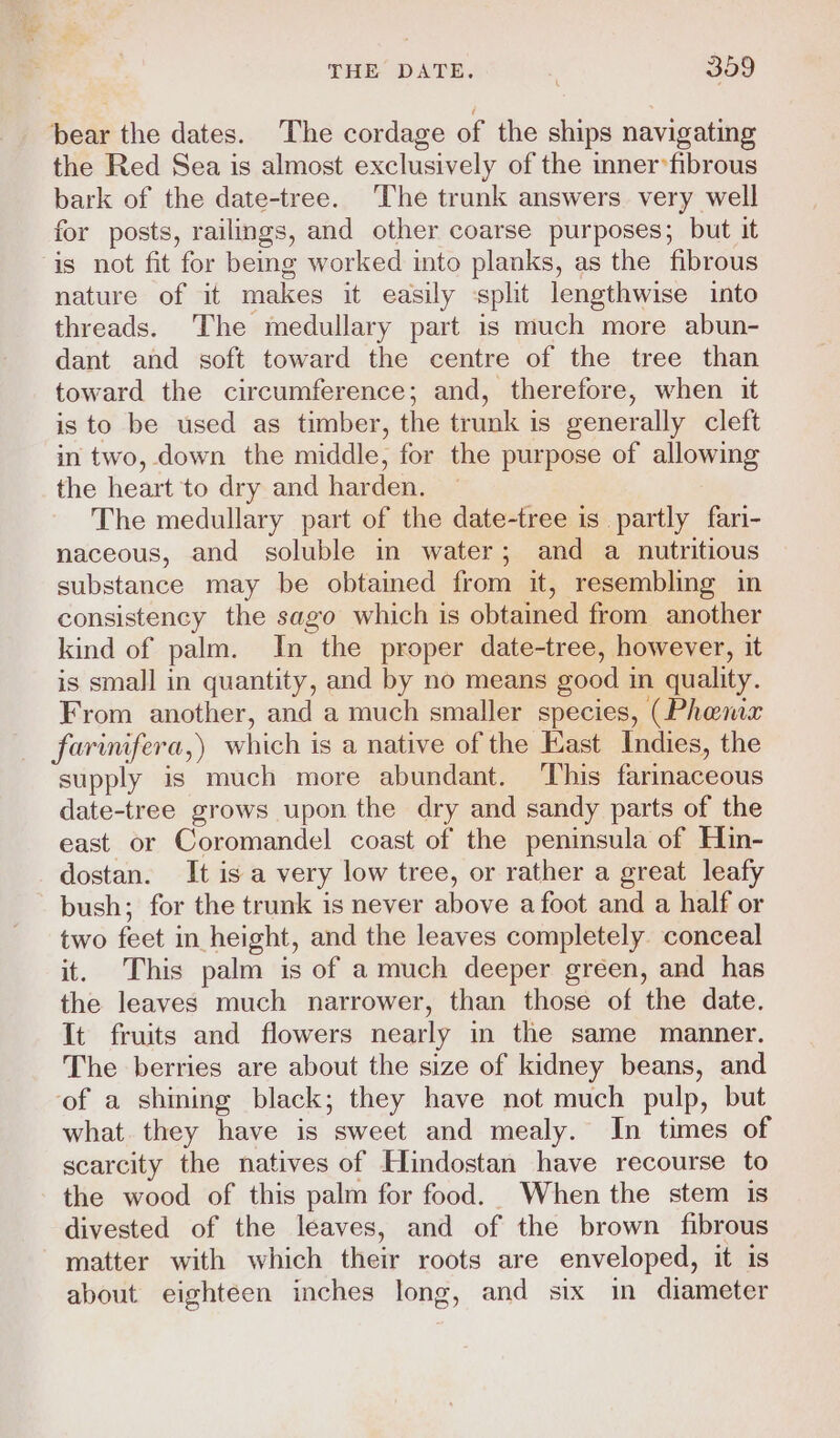 bear the dates. The cordage of the ships navigating the Red Sea is almost exclusively of the inner*fibrous bark of the date-tree. The trunk answers very well for posts, railings, and other coarse purposes; but it is not fit for being worked into planks, as the fibrous nature of it makes it easily ‘split lengthwise into threads. The medullary part is much more abun- dant and soft toward the centre of the tree than toward the circumference; and, therefore, when it is to be used as timber, the trunk is generally cleft in two, down the middle, for the purpose of allowing the heart to dry and harden. ~ The medullary part of the date-tree is partly fari- naceous, and soluble in water; and a nutritious substance may be obtained from it, resembling in consistency the sago which is obtained from another kind of palm. In the proper date-tree, however, it is small in quantity, and by no means good in quality. From another, and a much smaller species, (Phenix farinifera,) which is a native of the East Indies, the supply is much more abundant. This farinaceous date-tree grows upon the dry and sandy parts of the east or Coromandel coast of the peninsula of Hin- dostan. It is a very low tree, or rather a great leafy bush; for the trunk is never above a foot and a half or two feet in height, and the leaves completely. conceal it. This palm is of a much deeper green, and has the leaves much narrower, than those of the date. It fruits and flowers nearly in the same manner. The berries are about the size of kidney beans, and ‘of a shining black; they have not much pulp, but what they have is sweet and mealy. In times of scarcity the natives of Hindostan have recourse to the wood of this palm for food. When the stem is divested of the leaves, and of the brown fibrous matter with which their roots are enveloped, it is about eighteen inches long, and six in diameter