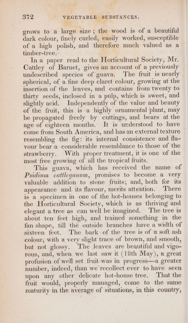 srows to a large size; the wood is of a beautiful dark colour, finely curled, easily worked, susceptible of a high polish, and therefore much valued as a’ timber-tree.- | In a paper read to the Horticultural Society, Mr. Cattley of Barnet, gives an account of a previously undescribed species of guava. The fruit is nearly spherical, of a fine deep claret colour, growing at the insertion of the leaves, and contains from twenty to thirty seeds, inclosed in a pulp, which is sweet, and slightly acid. Independently of the value and beauty of the fruit, this isa highly ornamental plant, may be propagated freely by cuttings, and bears at the age of eighteen months. It is understood to have come from South America, and has an external texture _ resembling the fig: its internal consistence and fla- vour beara considerable resemblance to those of the strawberry. With proper treatment, it is one of the most free growing of all the tropical fruits. This guava, which has received the name of Psidium cattleyanum, promises to become a very valuable addition to stone fruits; and, both for its appearance and. its flavour, merits attention. ‘There is a specimen in one of the hot-houses belonging to the Horticultural Society, which is as thriving and elegant a tree as can well be imagined. The tree is about ten feet high, and trained something in the fan shape, till thé outside branches have a width of sixteen feet. The bark. of the tree is of a soft ash colour, with a very slight trace of brown, and smooth, but not glossy. The leaves are beautiful and vigo- rous, and, when. we last saw it (18th May), a great profusion of well set fruit-was in progress—a greater number, indeed, than we recollect ever to have seen upon any other delicate hot-house tree.. That the fruit would, properly managed, come to the same maturity in the average of situations, in this country,