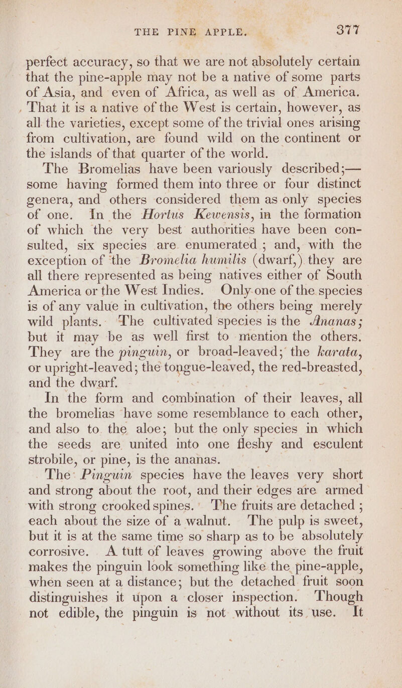THE PINE: APPLE. y Ob perfect accuracy, so that we are not absolutely certain that the pine-apple may not be a native of some parts of Asia, and even of Africa, as well as of America. , That it is a native of the West is certain, however, as all the varieties, except some of the trivial ones arising from cultivation, are found wild on the continent or the islands of that quarter of the world. The Bromelias have been variously described;— some having formed them into three or four distinct genera, and others considered them as only species of one. In the Hortus Kewensis, im the formation of which the very best authorities have been con- sulted, six species are. enumerated ; and, with the exception of ‘the Bromelia humilis (dwarf, , they are all there represented as being natives either of South America or the West Indies. Only-one of the species is of any value in cultivation, the others being merely wild plants. The cultivated species is the Ananas; but it may be as well first to mention the others. They are the pingwmn, or broad-leaved; the karata, or upright-leaved; the ropeue- -leaved, the ted-breasted, and the dwarf. In the form and combination of their leaves, all the bromelias have some resemblance to each other, and also to. the aloe; but the only species in which the seeds are united into one fleshy and esculent strobile, or pine, is the ananas. The: ’ Pinguin species have the leaves very short and strong about the root, and their edges are armed with strong crooked spines.’ The fruits are detached ; each about the size of a walnut. The pulp is sweet, but it is at the same time so sharp as to be absolutely corrosive. A tutt of leaves growing above the fruit makes the pinguin look something like the pine-apple, when seen at a distance; but the detached. fruit soon distinguishes it upon a closer inspection. Though not edible, the pinguin is not without its use. It