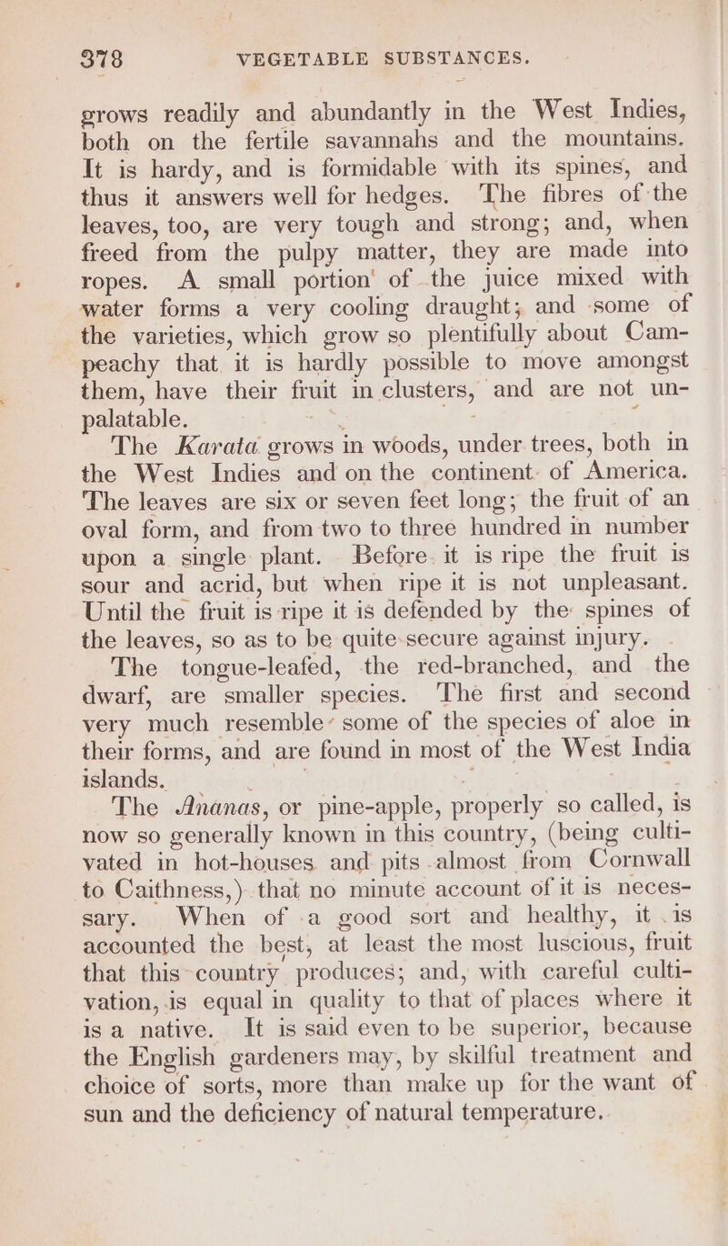 grows readily and abundantly in the West Indies, both on the fertile savannahs and the mountains. It is hardy, and is formidable with its spines, and thus it answers well for hedges. The fibres of the leaves, too, are very tough and strong; and, when freed from the pulpy matter, they are made into ropes. A small portion’ of the juice mixed with water forms a very cooling draught; and some of the varieties, which grow so plentifully about Cam- peachy that it is hardly possible to move amongst them, have their fruit in clusters, and are not un- palatable. Suse ans { The Karata grows in woods, under trees, both in the West Indies and on the continent. of America. The leaves are six or seven feet long; the fruit of an oval form, and from two to three hundred in number upon a single plant. Before. it is ripe the fruit is sour and acrid, but when ripe it is not unpleasant. Until the fruit is ripe it is defended by the spines of the leaves, so as to be quite:secure against injury. | ~The tongue-leafed, the red-branched, and _ the dwarf, are smaller species. The first and second very much resemble’ some of the species of aloe in their forms, and are found in most of the West India islands. ; ss | , The nanas, or pine-apple, properly so called, is now so generally known in this country, (being culti- vated in hot-houses and pits almost from Cornwall to Caithness,) that no minute account of it is neces- sary. When of .a good sort and healthy, it .1s accounted the best, at least the most luscious, fruit that this country produces; and, with careful culti- vation, is equal in quality to that of places where it isa native. It is said even to be superior, because the English gardeners may, by skilful treatment and choice of sorts, more than make up for the want of sun and the deficiency of natural temperature.