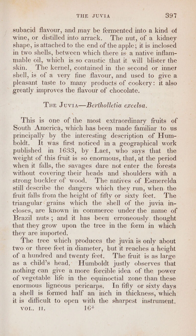 subacid flavour, and may be fermented into a kind of wine, or distilled into arrack. The nut, of a kidney shape, is attached to the end of the apple; it is inclosed in two shells, between which there is a native inflam- mable oil, which is so caustic that it will blister the skin. The kernel, contained in the second or inner shell, is of a very fine flavour, and used to give a pleasant taste to many products of cookery: it also greatly improves the flavour of chocolate. THe J uviA—Bertholletia excelsa. This is one of the most extraordinary fruits of South America, which has been made familiar to us principally by the interesting description of Hum- boldt. It was first noticed in a geographical work published in 1633, by Laet, who ‘says that the weight of this fruit is so enormous, that, at the period when it falls, the savages dare not enter the forests without covering their heads and shoulders with a strong buckler of wood. ‘The natives of Esmerelda still deseribe the dangers which they run, when. the fruit falls from the height of fifty or sixty feet. The triangular‘ grains which the shell of the juvia in- closes, are known in commerce under the name of Brazil nuts; and it has been erroneously. thought that they grow upon the tree in the form in which they are imported. The tree which produces the juvia is only about two or three feet in diameter, but it reaches a height of a hundred and twenty feet. The fruit is as large as a child’s head.. Humboldt justly observes that nothing can give amore forcible idea of the power of vegetable life in the equinoctial zone than these enormous ligneous pericarps. In fifty or sixty days a shell is formed half an inch in thickness, which it is difficult to open with the sharpest instrument.