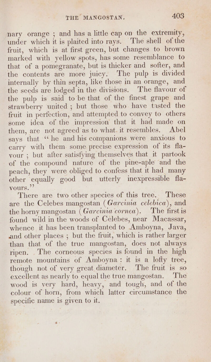 nary orange ; and has a little cap on the extremity, under which it is plaited into rays. The shell of the fruit, which is at first green, but changes to brown marked with yellow spots, has some resemblance to that of a pomegranate, but is thicker and softer, and the contents are more juicy. The pulp is divided internally by thin septa, like those in an orange, and the seeds are lodged in the divisions. The flavour of the pulp is said to be that of the finest grape and strawberry united ; but those who have tasted the fruit in perfection, and attempted to convey to others some idea of the impression that it had made on them, are not agreed as to what. it resembles. Abel says that ‘“‘he and his companions were anxious to carry with them some precise expression of its fla- vour ; but after satisfying themselves that it partook of the compound nature of the pine-aple and the peach, they were obliged to confess that it had_ many other equally good but utterly imexpressible fla- vours.”’ There are two other species of this tree. These are the Celebes mangostan (Garcima celebica), and the horny mangostan (Garcinia cornea). The first is found wild in the woods of Celebes, near Macassar, whence it has been transplanted to Amboyna, Java, and other places ; but the fruit, which is rather larger than that of the true mangostan, does not always ripen. .The corneous species is found in the high remote mountains of Amboyna: it is a lofty tree, though not of very great diameter. ‘The fruit is so excellent as nearly to equal the true mangostan. The wood is very hard, heavy, and tough, and of the colour of horn, from which latter circumstance the specific name is given to it. |