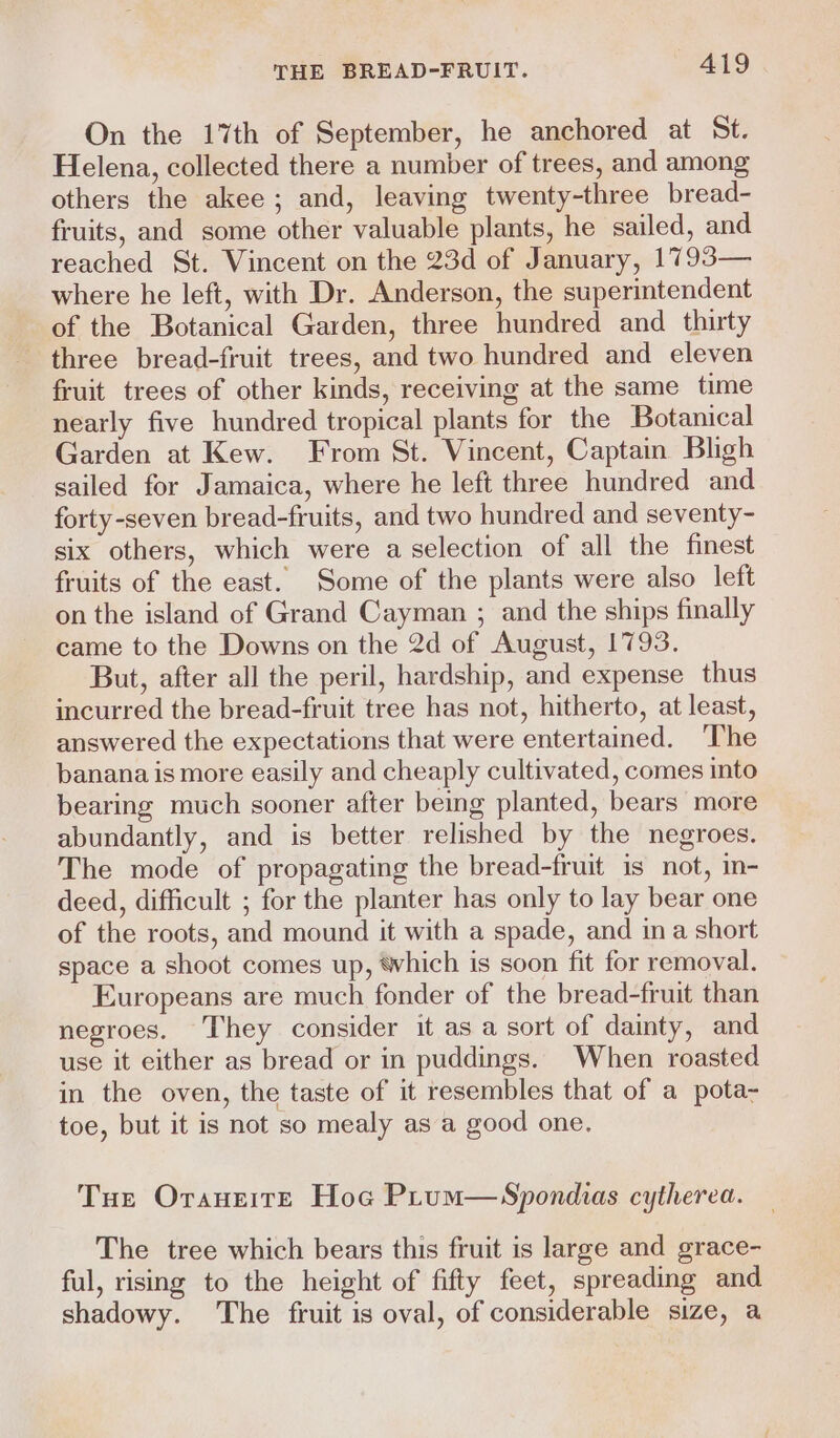 On the 17th of September, he anchored at St. Helena, collected there a number of trees, and among others the akee ; and, leaving twenty-three bread- fruits, and some other valuable plants, he sailed, and reached St. Vincent on the 23d of January, 1793— where he left, with Dr. Anderson, the superintendent of the Botanical Garden, three hundred and thirty three bread-fruit trees, and two hundred and eleven fruit trees of other kinds, receiving at the same time nearly five hundred tropical plants for the Botanical Garden at Kew. From St. Vincent, Captain Bligh sailed for Jamaica, where he left three hundred and forty-seven bread-fruits, and two hundred and seventy- six others, which were a selection of all the finest fruits of the east. Some of the plants were also left on the island of Grand Cayman ; and the ships finally came to the Downs on the 2d of August, 1793. But, after all the peril, hardship, and expense thus incurred the bread-fruit tree has not, hitherto, at least, answered the expectations that were entertained. The banana is more easily and cheaply cultivated, comes into bearing much sooner after being planted, bears more abundantly, and is better relished by the negroes. The mode of propagating the bread-fruit is not, in- deed, difficult ; for the planter has only to lay bear one of the roots, and mound it with a spade, and ina short space a shoot comes up, ‘which is soon fit for removal. Europeans are much fonder of the bread-fruit than negroes. They consider it as a sort of dainty, and use it either as bread or in puddings. When roasted in the oven, the taste of it resembles that of a pota- toe, but it is not so mealy as a good one, Tue OraneiteE Hoc Prum—Spondias cytherea. The tree which bears this fruit is large and grace- ful, rising to the height of fifty feet, spreading and shadowy. The fruit is oval, of considerable size, a