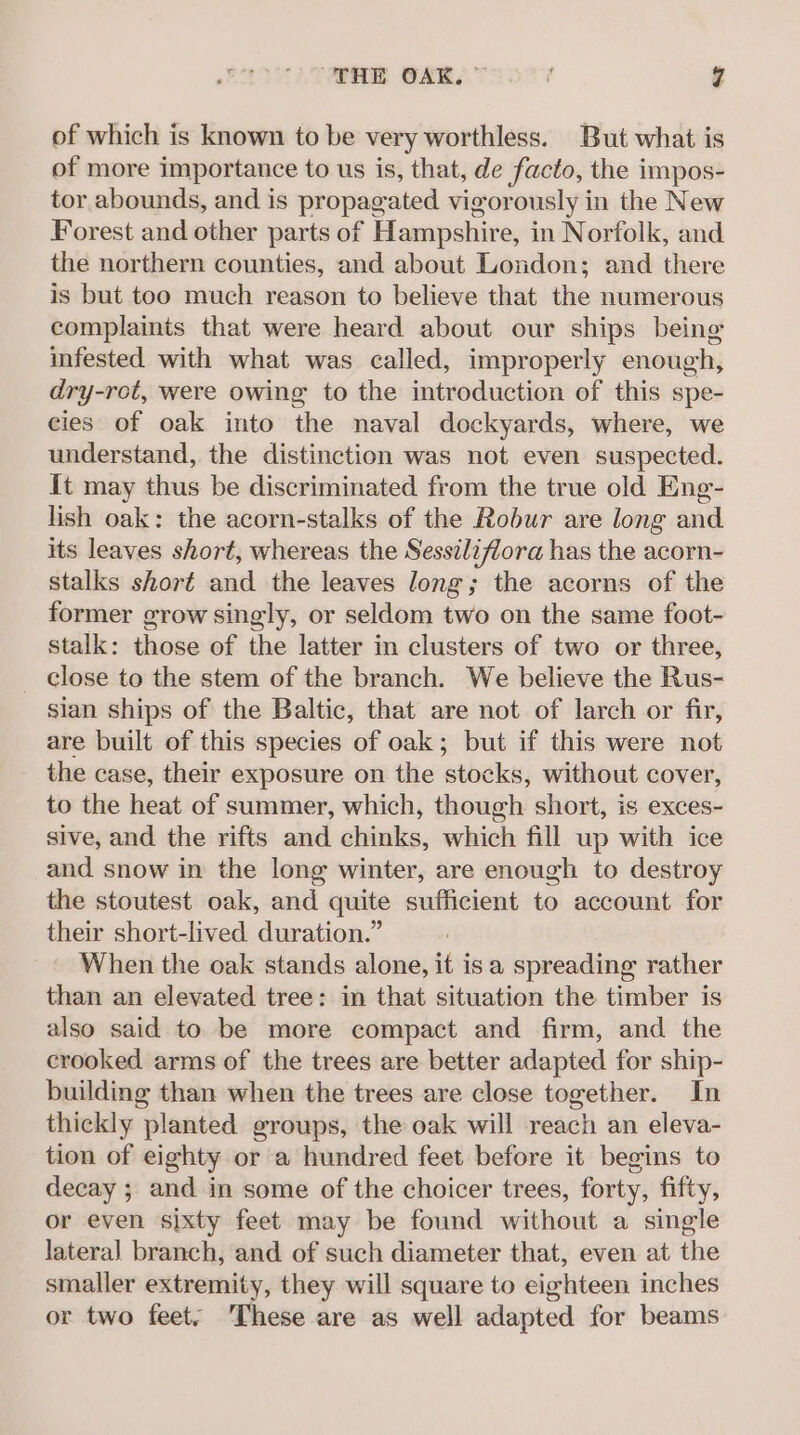 of which is known to be very worthless. But what is of more importance to us is, that, de facto, the impos- tor abounds, and is propagated vigorously in the New Forest and other parts of Hampshire, in Norfolk, and the northern counties, and about London; and there is but too much reason to believe that the numerous complaints that were heard about our ships being infested with what was called, improperly enough, dry-rot, were owing to the introduction of this spe- cies of oak into the naval dockyards, where, we understand, the distinction was not even suspected. It may thus be discriminated from the true old Eng- lish oak: the acorn-stalks of the Robur are long and its leaves short, whereas the Sessilifiora has the acorn- stalks short and the leaves long; the acorns of the former grow singly, or seldom two on the same foot- stalk: those of the latter in clusters of two or three, _ close to the stem of the branch. We believe the Rus- sian ships of the Baltic, that are not of larch or fir, are built of this species of oak; but if this were not the case, their exposure on the stocks, without cover, to the heat of summer, which, though short, is exces- sive, and the rifts and chinks, which fill up with ice and snow in the long winter, are enough to destroy the stoutest oak, and quite sufficient to account for their short-lived duration.” When the oak stands alone, it isa spreading rather than an elevated tree: in that situation the timber is also said to be more compact and firm, and the crooked arms of the trees are better adapted for ship- building than when the trees are close together. In thickly planted groups, the oak will reach an eleva- tion of eighty or a hundred feet before it begins to decay ; and in some of the choicer trees, forty, fifty, or even sixty feet may be found without a single lateral branch, and of such diameter that, even at the smaller extremity, they will square to eighteen inches or two feet. ‘These are as well adapted for beams