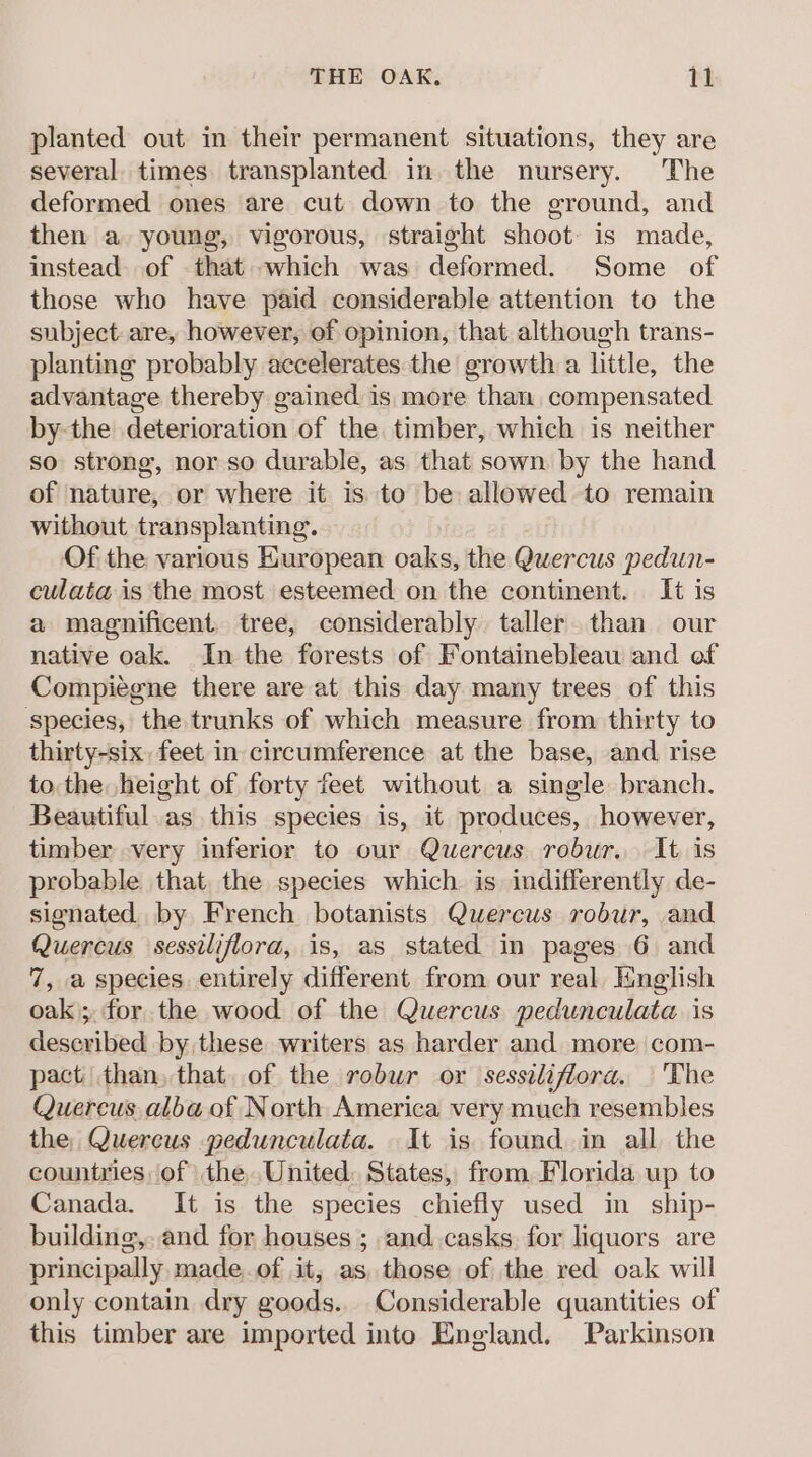 planted out in their permanent situations, they are several. times transplanted in the nursery. The deformed ones are cut down to the ground, and then a young, vigorous, straight shoot: is made, instead. of that which was deformed. Some of those who have paid considerable attention to the subject are, however, of opinion, that although trans- planting probably accelerates the growth a little, the advantage thereby gained. is more than, compensated by-the deterioration of the timber, which is neither so strong, nor so durable, as that sown by the hand of nature, or where it is. to be allowed to remain without transplanting. Of the various Kuropean oaks, the Quercus pedun- culata is the most esteemed on the continent. It is a magnificent. tree, considerably taller than our native oak. In the forests of Fontainebleau and of Compiegne there are at this day many trees of this species, the trunks of which measure from thirty to thirty-six, feet in circumference at the base, and. rise tothe height of forty feet without a single branch. Beautiful.as this species is, it produces, however, timber very inferior to our Quercus robur. It is probable that the species which is indifferently de- signated by French botanists Quercus robur, and Quercus sessiliflora, is, as stated in pages 6 and 7, a species entirely different from our real, Hmelish oak; for the wood of the Quercus pedunculata is described by these writers as harder and more com- pact than, that. of the robur or sessilifiora. 'The Quercus alba of North America very much resembles the, Quereus pedunculata. It is found in all the countries of the. United: States, from Florida up to Canada. It is the species chiefly used in ship- building,..and for houses ; and. casks for liquors are principally made.of it, as, those of the red oak will only contain dry goods.. Considerable quantities of this timber are imported into England. Parkinson