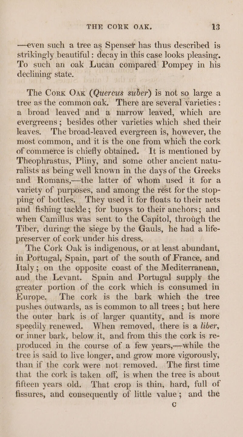 —even such a tree as Spenset has thus described is strikingly beautiful: decay in this case looks pleasing. To such an oak Lucan compared’ Pompey in his declining state. The Cork Oak (Quercus suber) is not so large a tree as the common oak, There are several Varieties : a broad leaved and a narrow leaved, which are evergreens ; besides other varieties which shed their leaves. 'The broad-leaved evergreen is, however, the most common, and it is the one from which the cork of commerce is chiefly obtained. It is mentioned by Theophrastus, Pliny, and some other ancient natu- ralists as being well known im the days of the Greeks and Romans,—the latter of whom used it for a variety of purposes, and among the rest for the stop- ping of bottles. eae used it for floats to their nets and fishing tackle; for buoys to their anchors; and when Camillus was sent to ‘the Capitol, through the Tiber, during the siege by the Gauls, he had a life- preserver of cork under his dress. The Cork Oak is indigenous, or at least abundant, in Portugal, Spain, part of the south of France, and Italy ; on the opposite coast of the Mediterranean, and the Levant. Spain and Portugal supply the greater portion of the cork which is consumed in Europe. The cork is the bark which the tree pushes outwards, as is common to all trees ; but here the outer bark is of larger quantity, and is more speedily renewed. When removed, there is a liber, or inner bark, below it, and from this the cork is re- _produced in the course of a few years,—while the tree is said to live longer, and grow more vigorously, than if the cork were not removed. The first time that the cork is taken. off, is when the tree is about fifteen years old. That crop is thin, hard, full of fissures, and consequently of little value; and the Cc