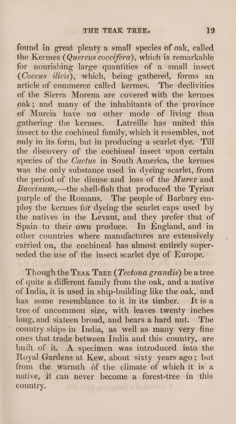 found in great plenty a small species of oak, called the Kermes (Quercus coccifera), which is remarkable for nourishing large quantities of a small insect (Coccus ilicis), which, being gathered, forms an article of commerce called kermes. The declivities of the Sierra Morena are covered with the kermes oak; and many of the inhabitants of the province of Murcia have no other mode of living than gathering the kermes. Latreille has united this insect to the cochineal family, which it resembles, not only in its form, but in producing a scarlet dye. Till the discovery of the cochineal insect upon certain species of the Cactus in South America, the kermes was the only substance used in dyeing scarlet, from the period of the disuse and loss of the Murer and Buccinum,—the shell-fish that produced the Tyrian purple of the Romans. The people of Barbary em- ploy the kermes for dyeing the scarlet caps used by the natives in the Levant, and they prefer that of Spain to their own produce. In England, and in other countries where manufactures are extensively carried on, the cochineal has almost entirely super- seded the use of the insect scarlet dye of Europe. Though the Trak Tres (Tectona grandis) bea tree of quite a different family from the oak, and a native of India, it is used in ship-building like the oak, and has some resemblance to it in its timber. Itisa tree of uncommon size, with leaves twenty inches long, and sixteen broad, and bears a hard nut. The ' country shipsin India, as well as many very fine ones that trade between India and this country, are built of it. A specimen was introduced into the Royal Gardens at Kew, about sixty years ago; but from the warmth of the climate of which it is a native, i can never become a forest-tree in this country.