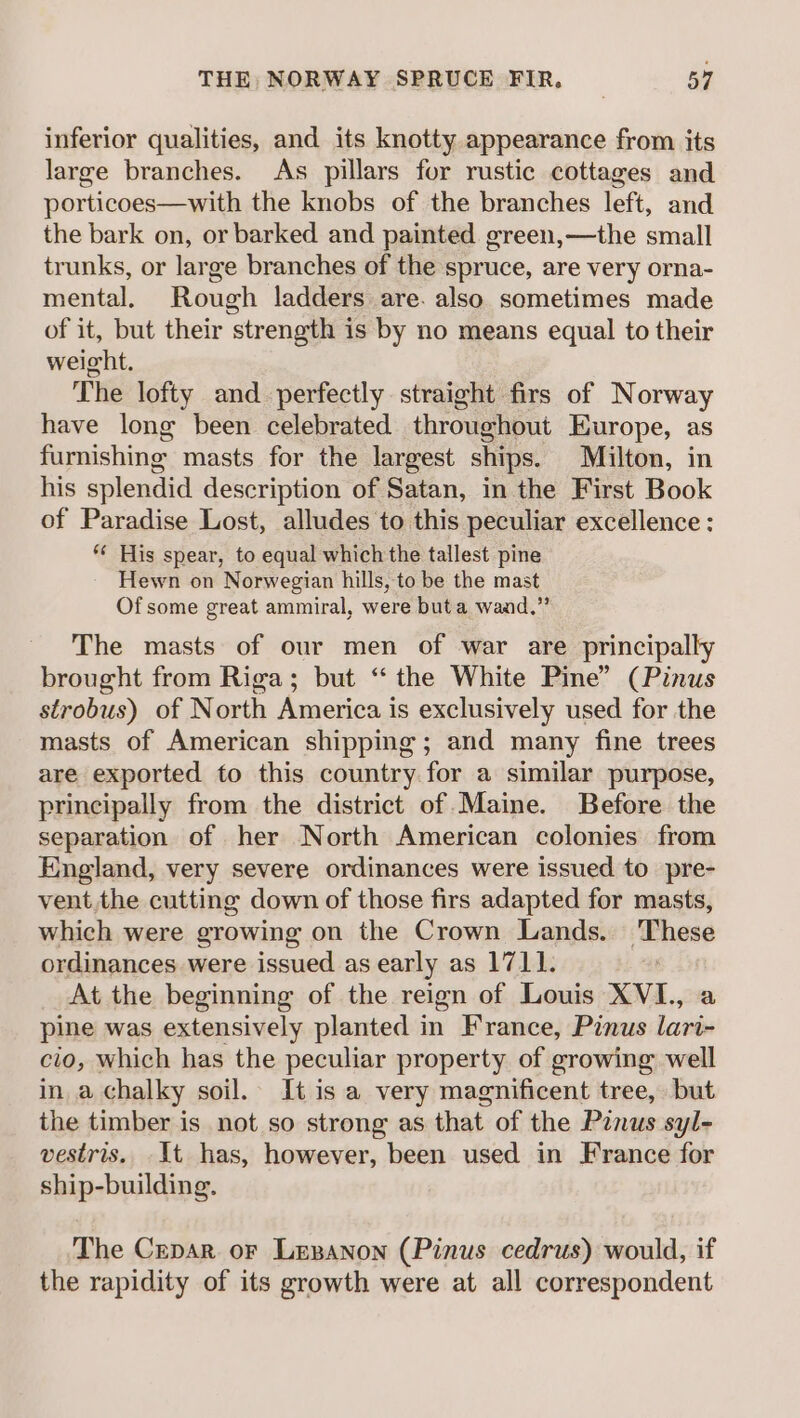 inferior qualities, and its knotty appearance from its large branches. As pillars for rustic cottages and porticoes—with the knobs of the branches left, and the bark on, or barked and painted green,—the small trunks, or large branches of the spruce, are very orna- mental. Rough ladders are. also sometimes made of it, but their strength is by no means equal to their weight. The lofty and perfectly straight firs of Norway have long been celebrated throughout Europe, as furnishing masts for the largest ships. Milton, in his splendid description of Satan, in the First Book of Paradise Lost, alludes to this peculiar excellence : ** His spear, to equal which the tallest pine Hewn on Norwegian hills, to be the mast Of some great ammiral, were but a wand.” The masts of our men of war are principally brought from Riga; but ‘“ the White Pine” (Pinus strobus) of North America is exclusively used for the masts of American shipping; and many fine trees are exported to this country for a similar purpose, principally from the district of Maine. Before the separation of her North American colonies from England, very severe ordinances were issued to pre- vent, the cutting down of those firs adapted for masts, which were growing on the Crown Lands. ‘These ordinances were issued as early as 1711. At the beginning of the reign of Louis XVI, a pine was extensively planted in France, Pinus lari- cio, which has the peculiar property of growing well in a chalky soil. It is a very magnificent tree, but the timber is not so strong as that of the Pinus syl- vestris. It has, however, been used in France for ship-building. The Cepar or Lesanon (Pinus cedrus) would, if the rapidity of its growth were at all correspondent