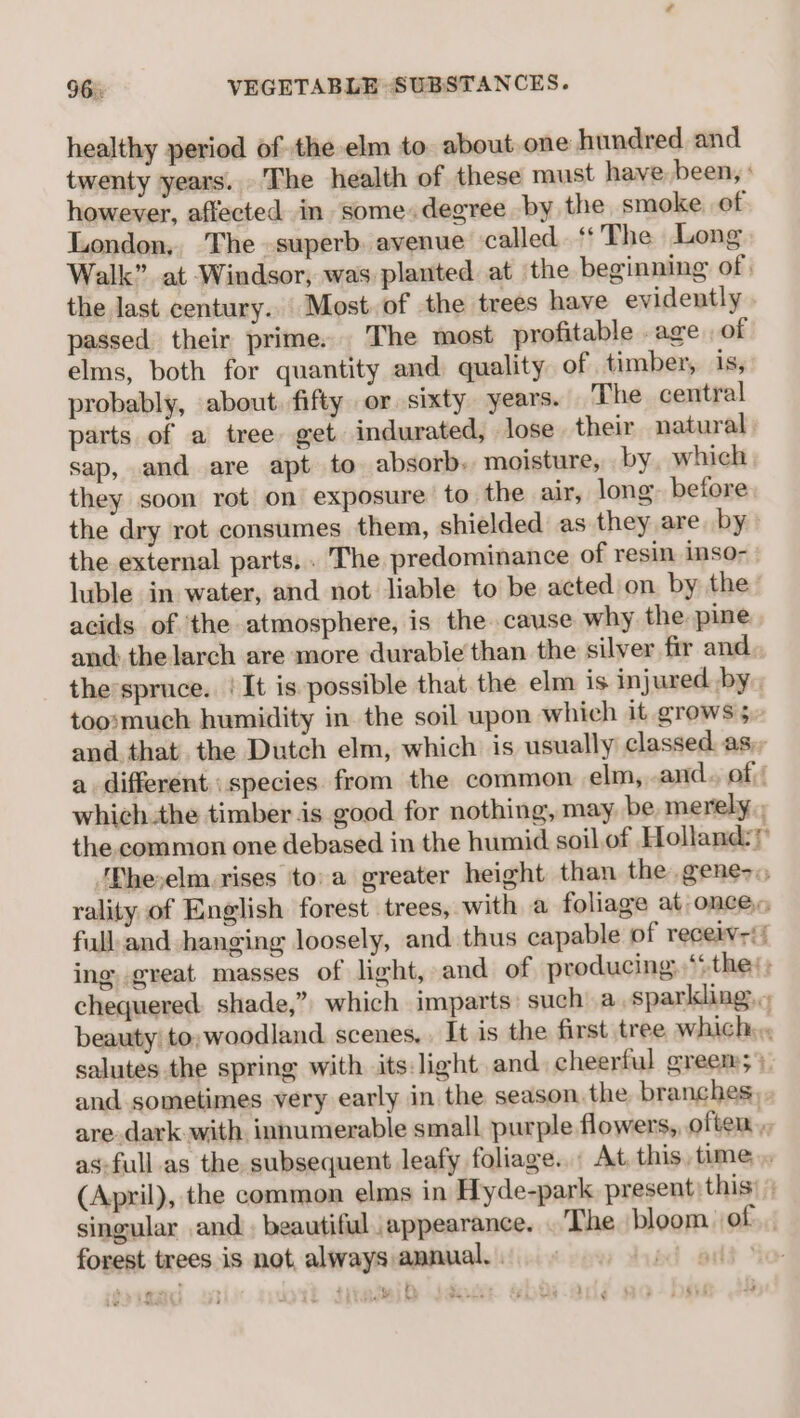 healthy period of the elm to. about one hundred and twenty years. The health of these must have been, : however, affected in some degree by the smoke of London, The superb. avenue called “The Long Walk” at Windsor, was planted at ‘the beginning of. the last century.. Most of the trees have evidently passed their prime. The most profitable .age of elms, both for quantity and quality of timber, is, probably, about. fifty or sixty years. The central parts of a tree get indurated, lose their natural sap, and are apt to absorb. moisture, by, which they soon rot on exposure to the air, long. before the dry rot consumes them, shielded as they are by the external parts, . The predominance of resin inso- luble in water, and not liable to be acted on by the acids of ‘the atmosphere, is the cause why the. pine and the larch are more durable than the silver fir and the’spruce. | It is possible that the elm is injured by, toosmuch humidity in the soil upon which it grows 5 and that the Dutch elm, which is usually classed. as, a different: species from the common elm, and. of which.the timber is good for nothing, may be merely, the.commion one debased in the humid soil.of Holland: 'Nheselm. rises toa greater height than the gene, rality of English forest trees, with a foliage at once, full-and hanging loosely, and thus capable of receiv) ing great masses of light, and of producing ““ thes; chequered. shade,” which imparts such a, sparkling... beauty! to; woodland. scenes. It is the first tree which... salutes the spring with its:light and cheerful greem;% and sometimes very early in the season. the branches), are dark. with. innumerable small purple flowers, often as-full as the subsequent leafy foliage... At this, time, (April), the common elms in Hyde-park present this) ) singular and. beautiful ,appearance. . The bloom. of forest trees is not, always annual. The Jeo