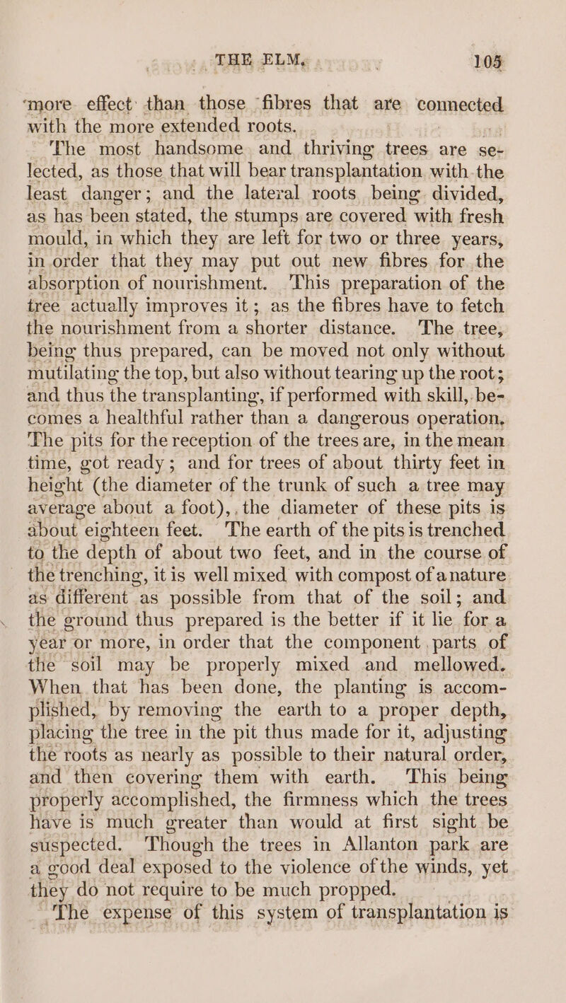 ‘more effect’ than those ‘fibres that are connecia with the more extended roots. The most handsome and. thriving trees are se- lected, as those that will bear transplantation withthe least danger; and the lateral roots being. divided, as has been stated, the stumps are covered with fresh mould, in which they are left for two or three years, in order that they may put out new fibres for the absorption of nourishment. This preparation of the tree actually improves it; as the fibres have to fetch the nourishment from a shorter distance. The tree, being thus prepared, can be moved not only without mutilating the top, but also without tearing up the root; and thus the transplanting, if performed with skill, be- comes a healthful rather ed a dangerous operation, The pits for the reception of the trees are, in the mean time, got ready; and for trees of about. thirty feet in height (the diameter of the trunk of such a tree may average about a foot),,the diameter of these pits is about : eighteen feet. The earth of the pits is trenched to the depth of about two feet, and in the course of - the trenching, it is well mixed with compost of anature as different as possible from that of the soil; and the ground thus prepared is the better if it le ‘for a year or more, in order that the component parts of the soil may be properly mixed and mellowed. When, that has been done, the planting is accom- plished, by removing the earth to a proper depth, placing the tree in the pit thus made for it, adjusting the roots as nearly as possible to their natural order, and then covering them with earth. This being properly accomplished, the firmness which the trees have is much greater than would at first sight be suspected. Though the trees in Allanton park are a good deal exposed to the violence of the winds, yet they do not require to be much propped. The expense of this system of transplantation is